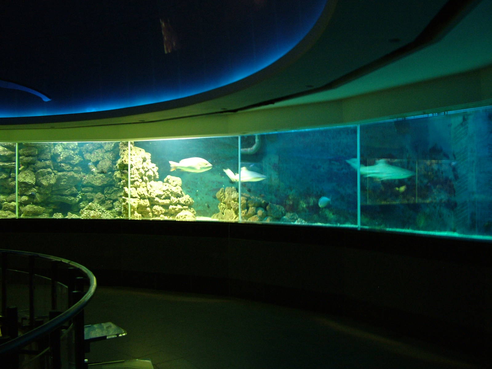 Aquarium Interior at Leipzig, 02/09/11