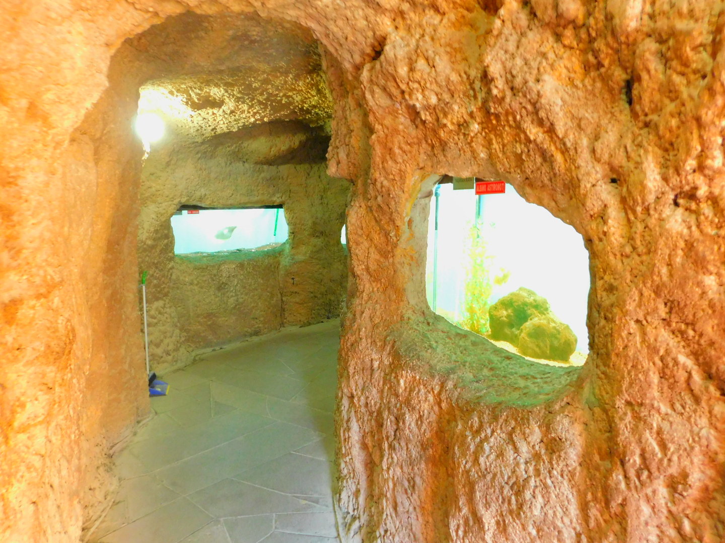 Aquarium interior at the Ankara Domestic Animal Park