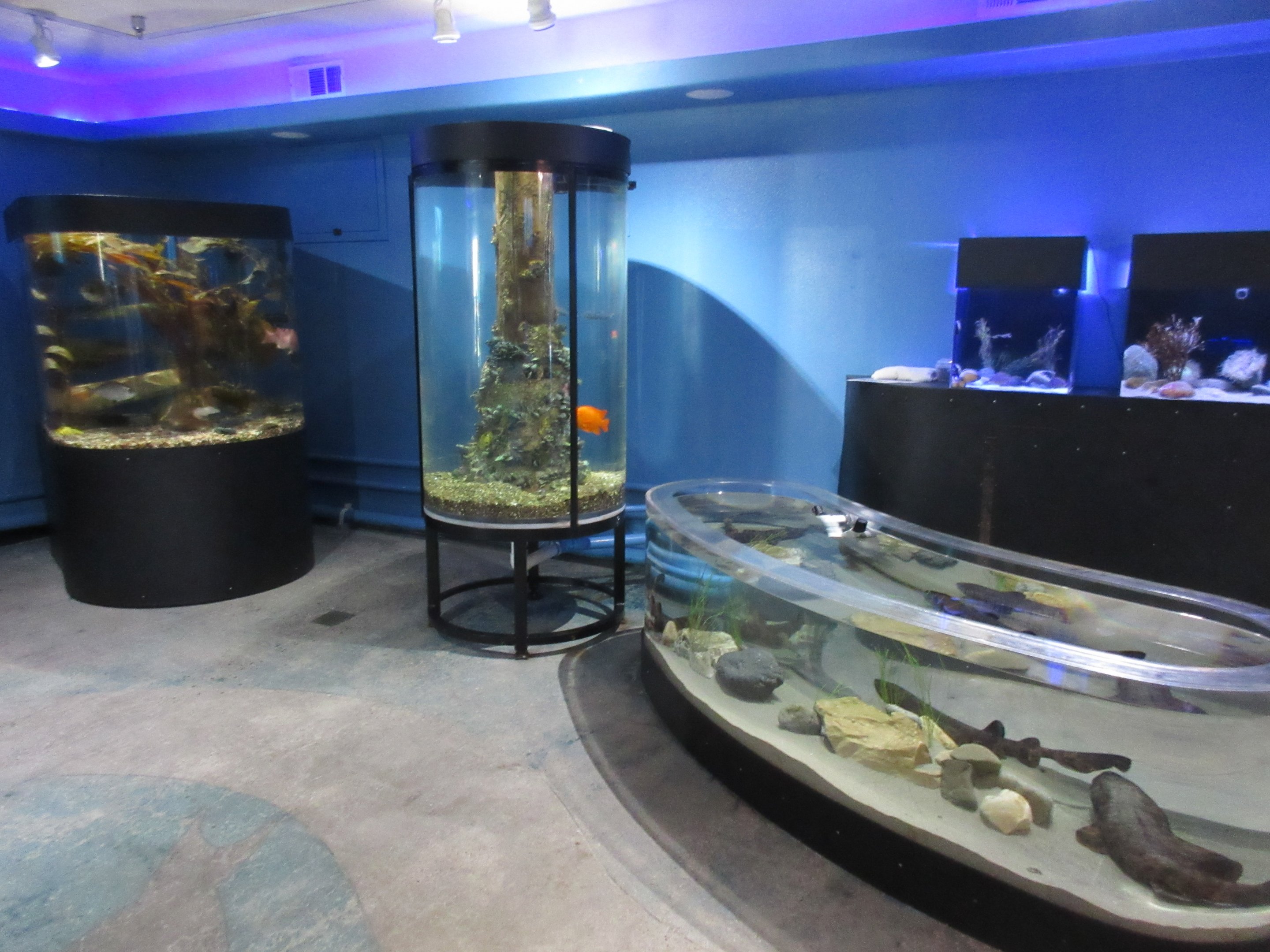 Aquarium Interior (only a two-room facility)