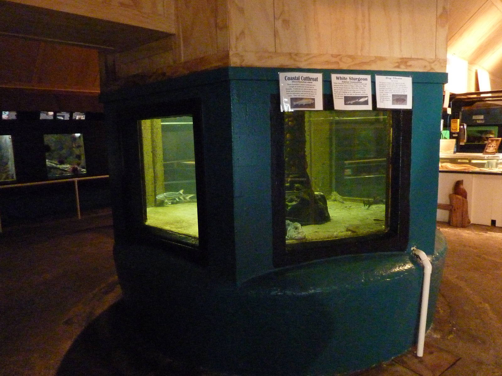 Aquarium Interior - Only About 35 Tanks In Total