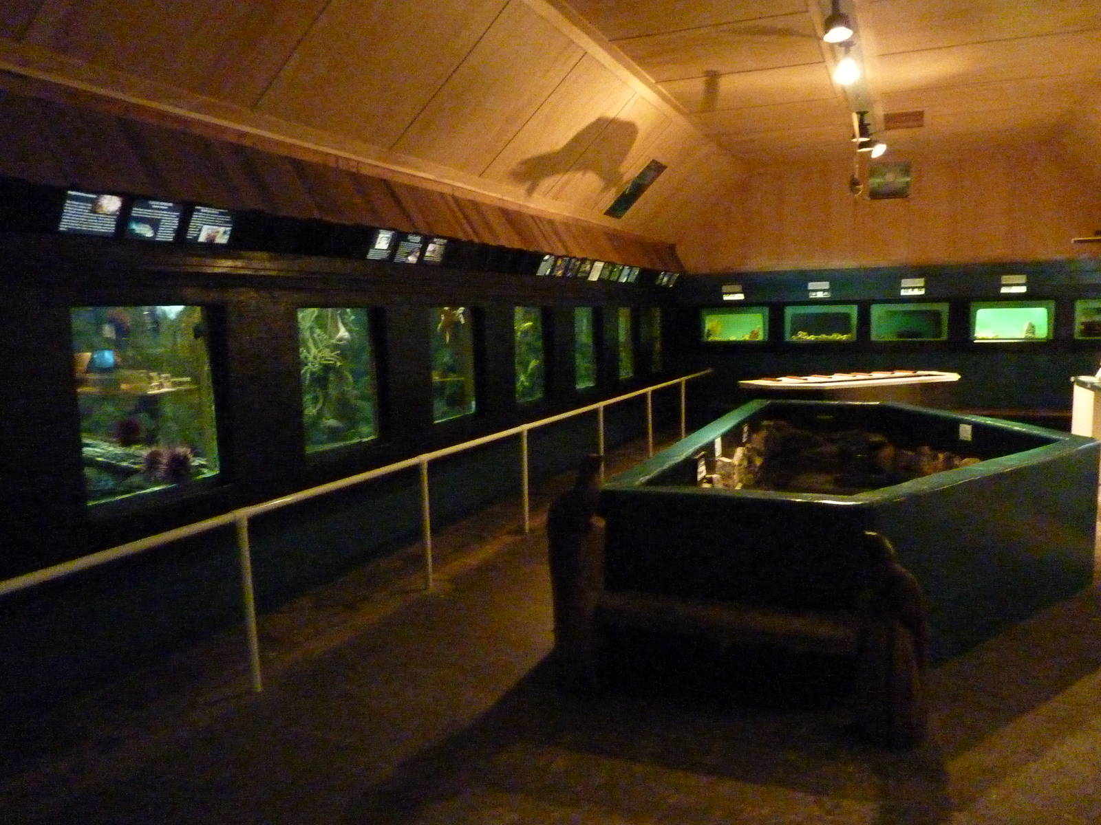 Aquarium Interior - Only About 35 Tanks In Total