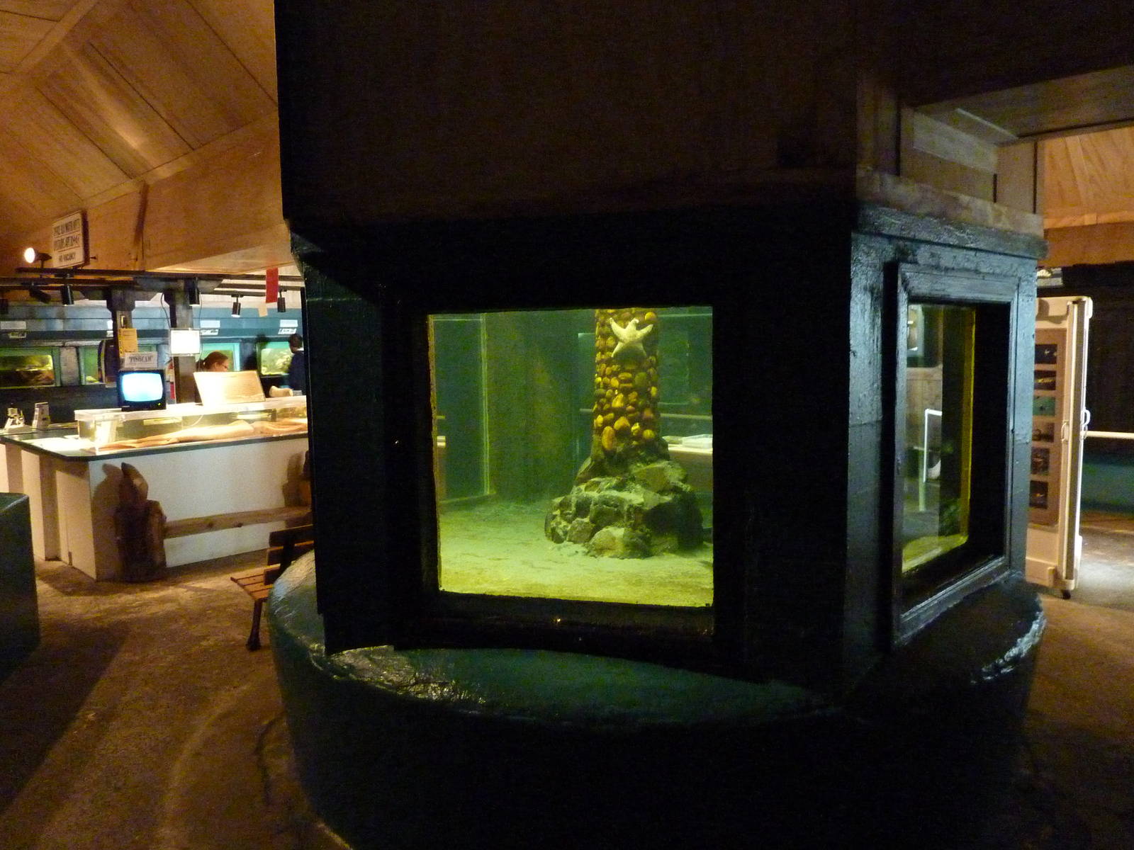 Aquarium Interior - Only About 35 Tanks In Total