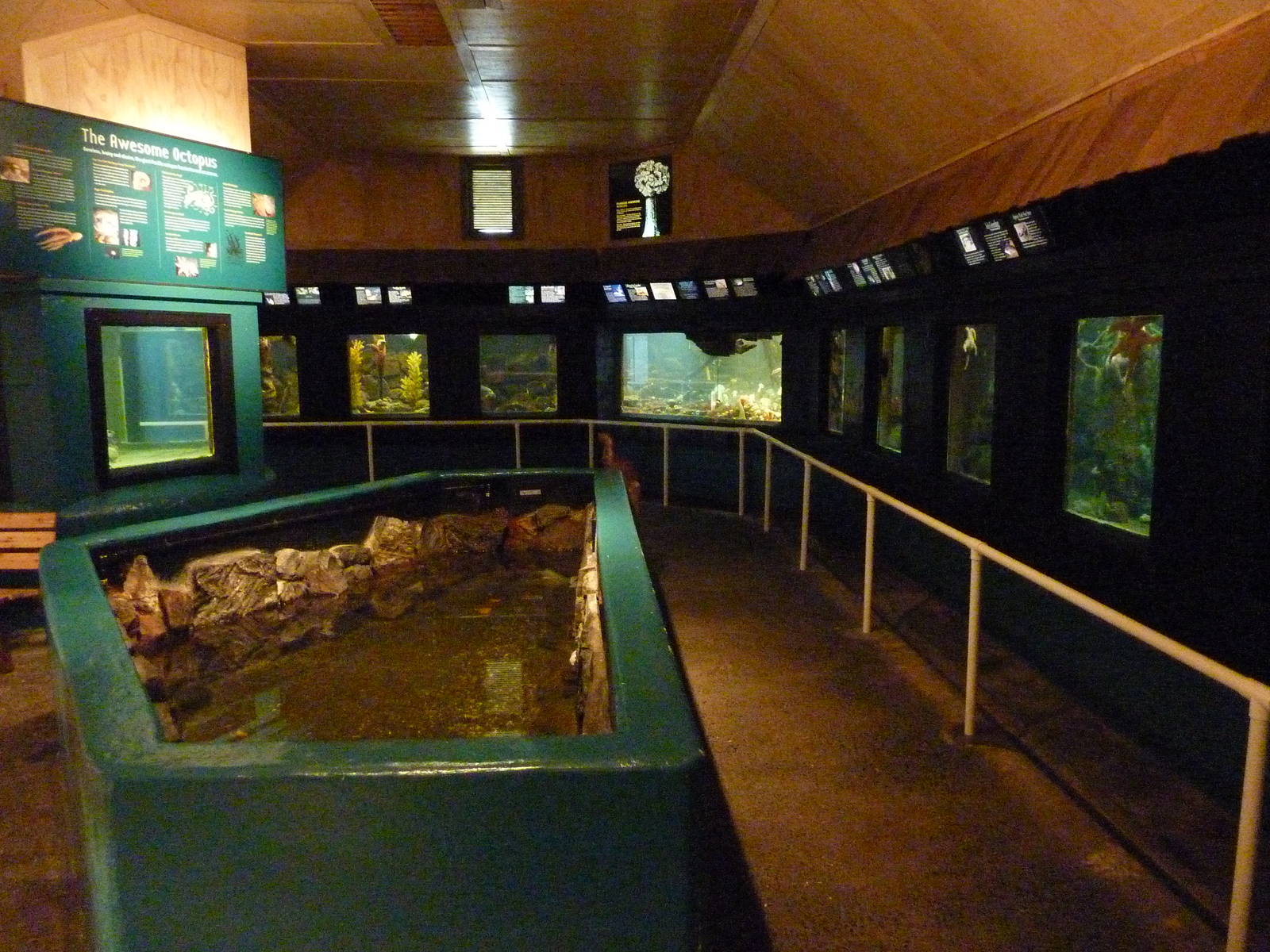 Aquarium Interior - Only About 35 Tanks In Total