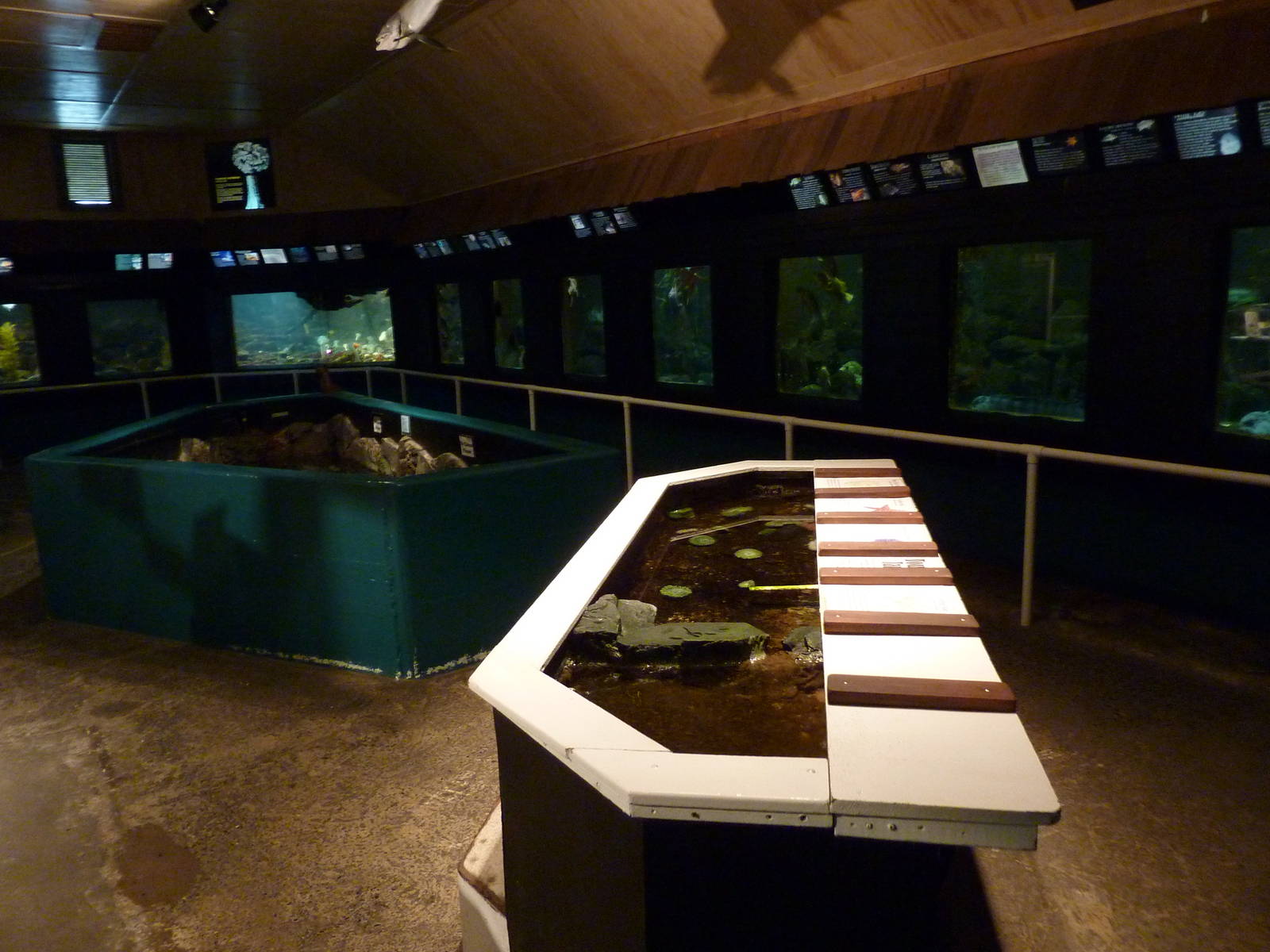 Aquarium Interior - Only About 35 Tanks In Total