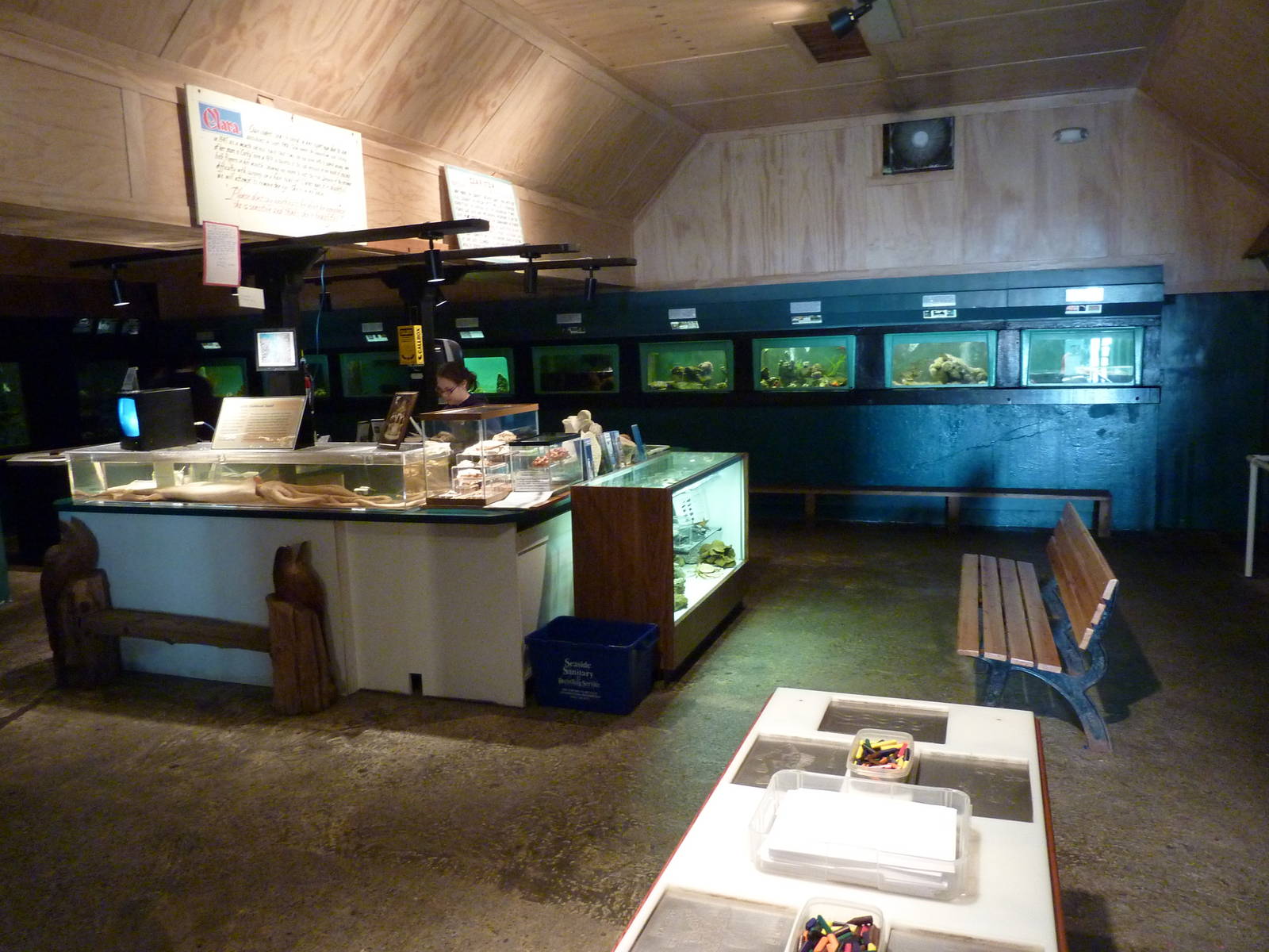 Aquarium Interior - Only About 35 Tanks In Total