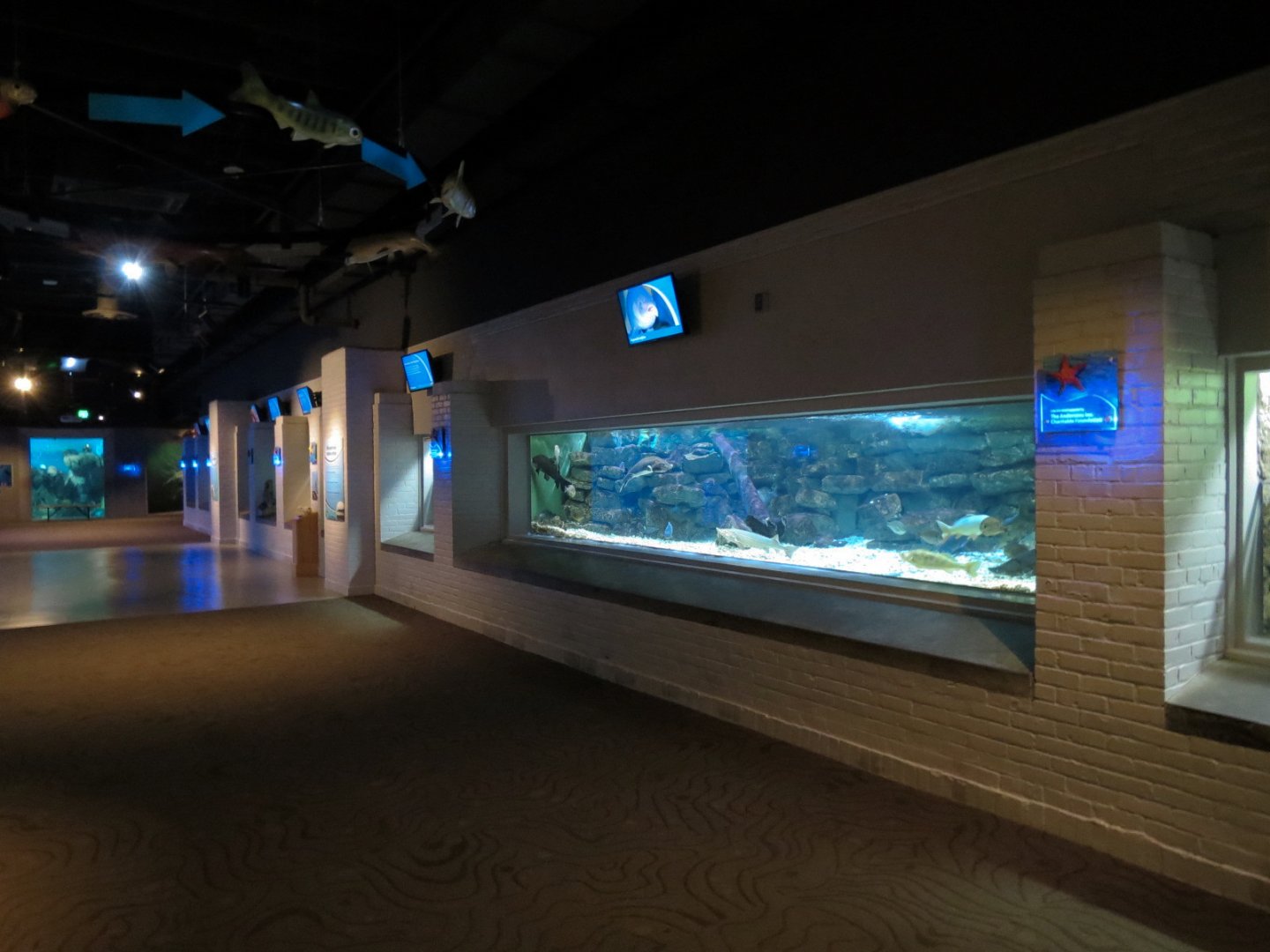 Aquarium - Interior