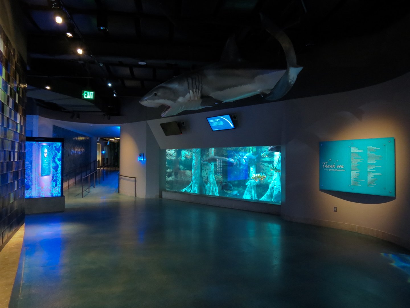 Aquarium - Interior