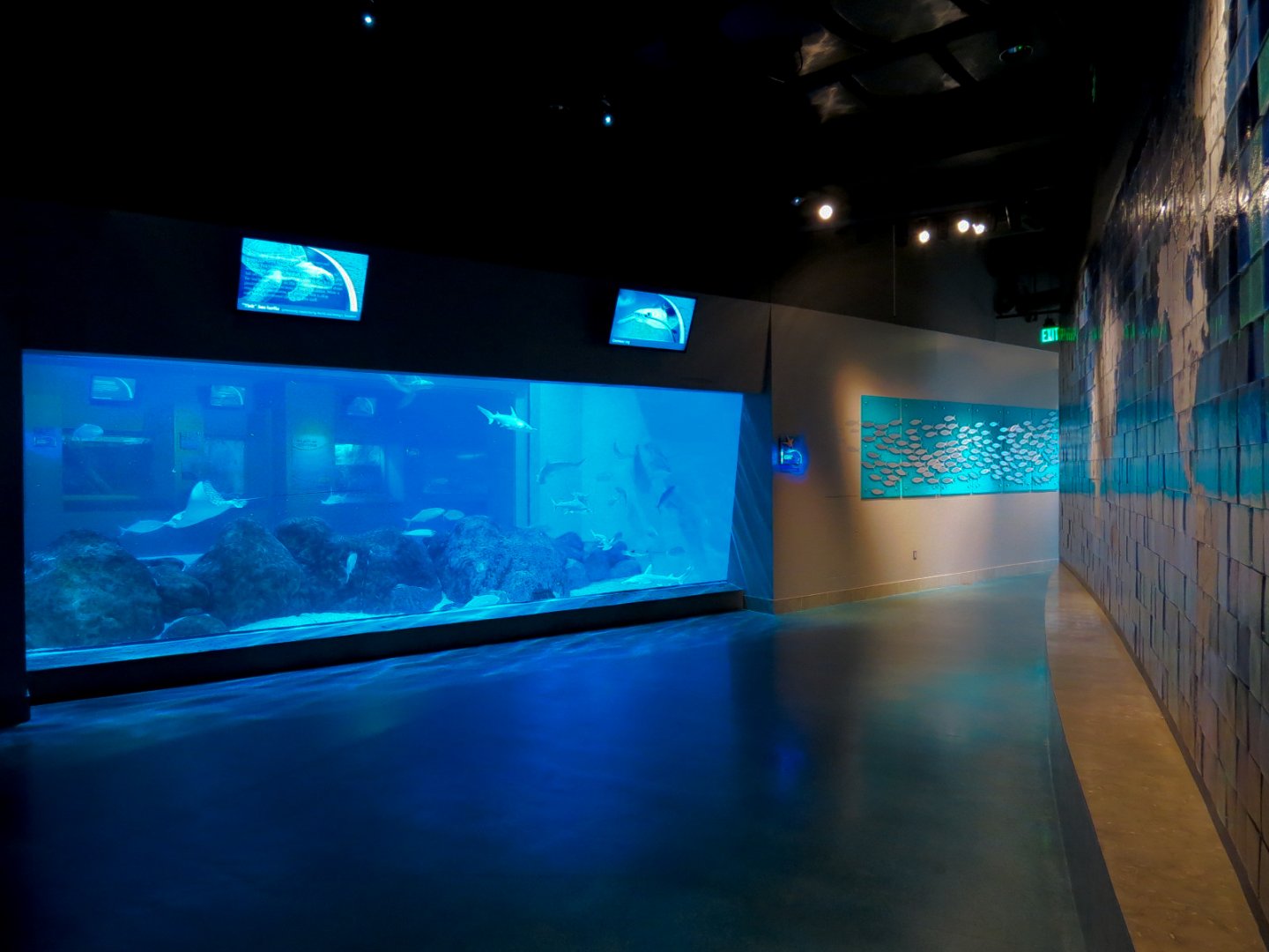Aquarium - Interior