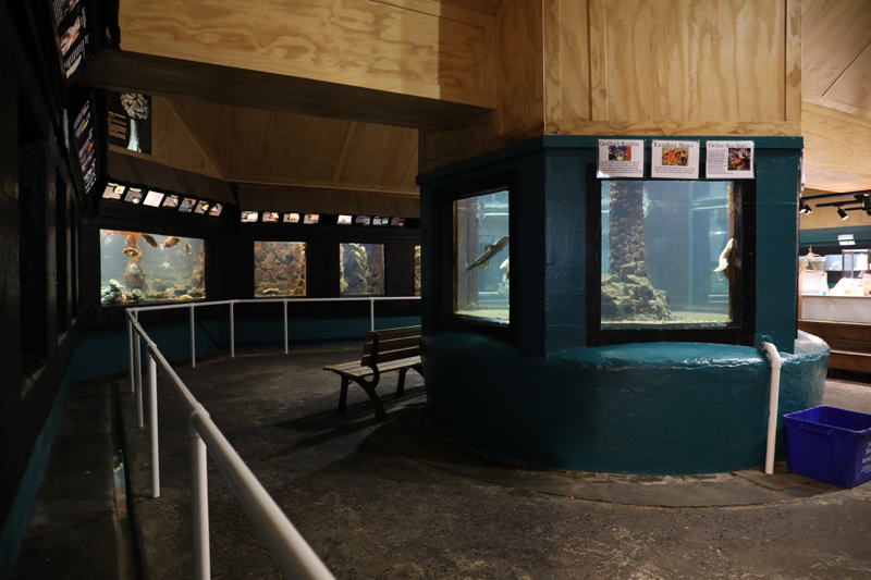 aquarium interior