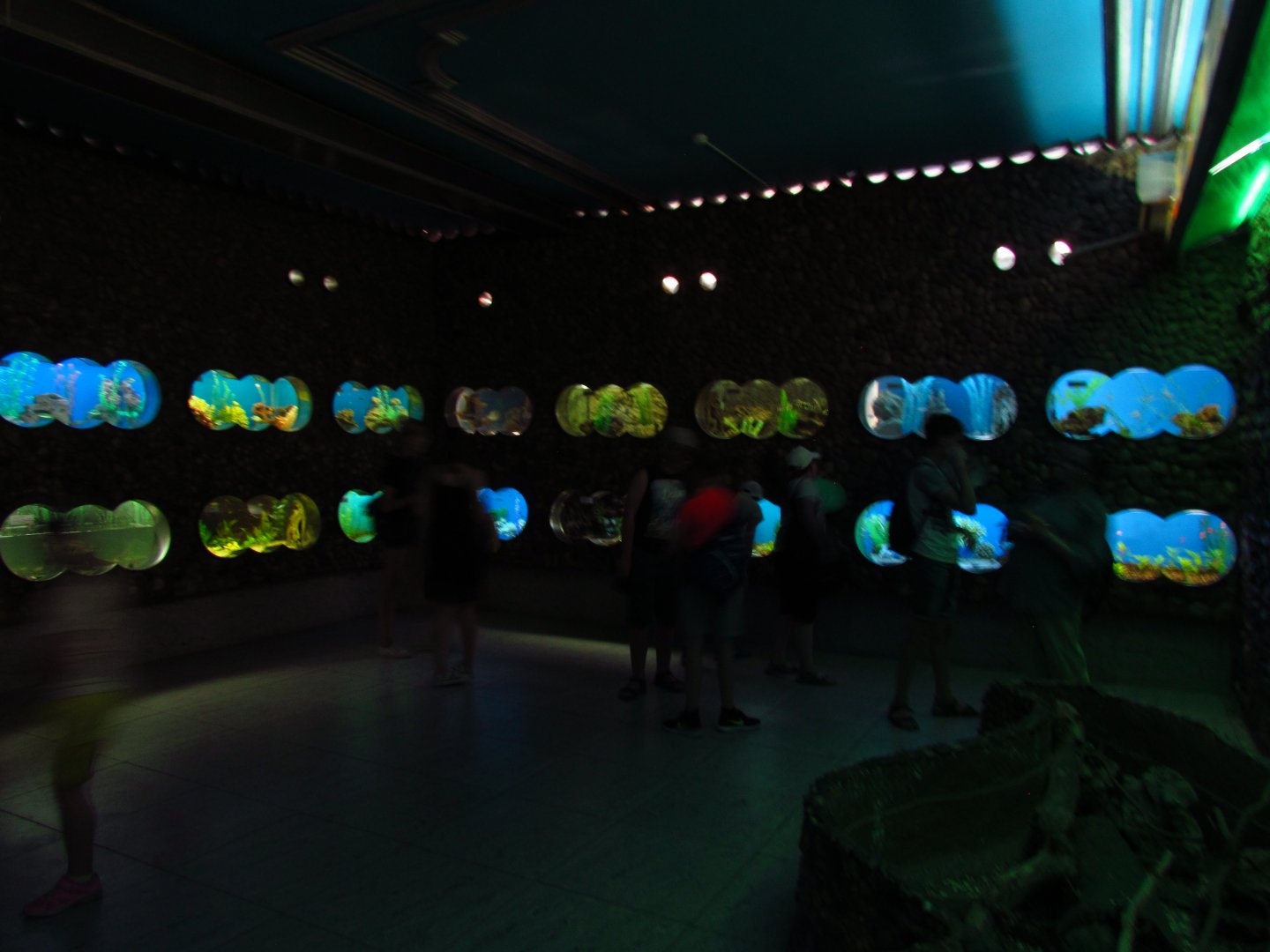 Aquarium interior