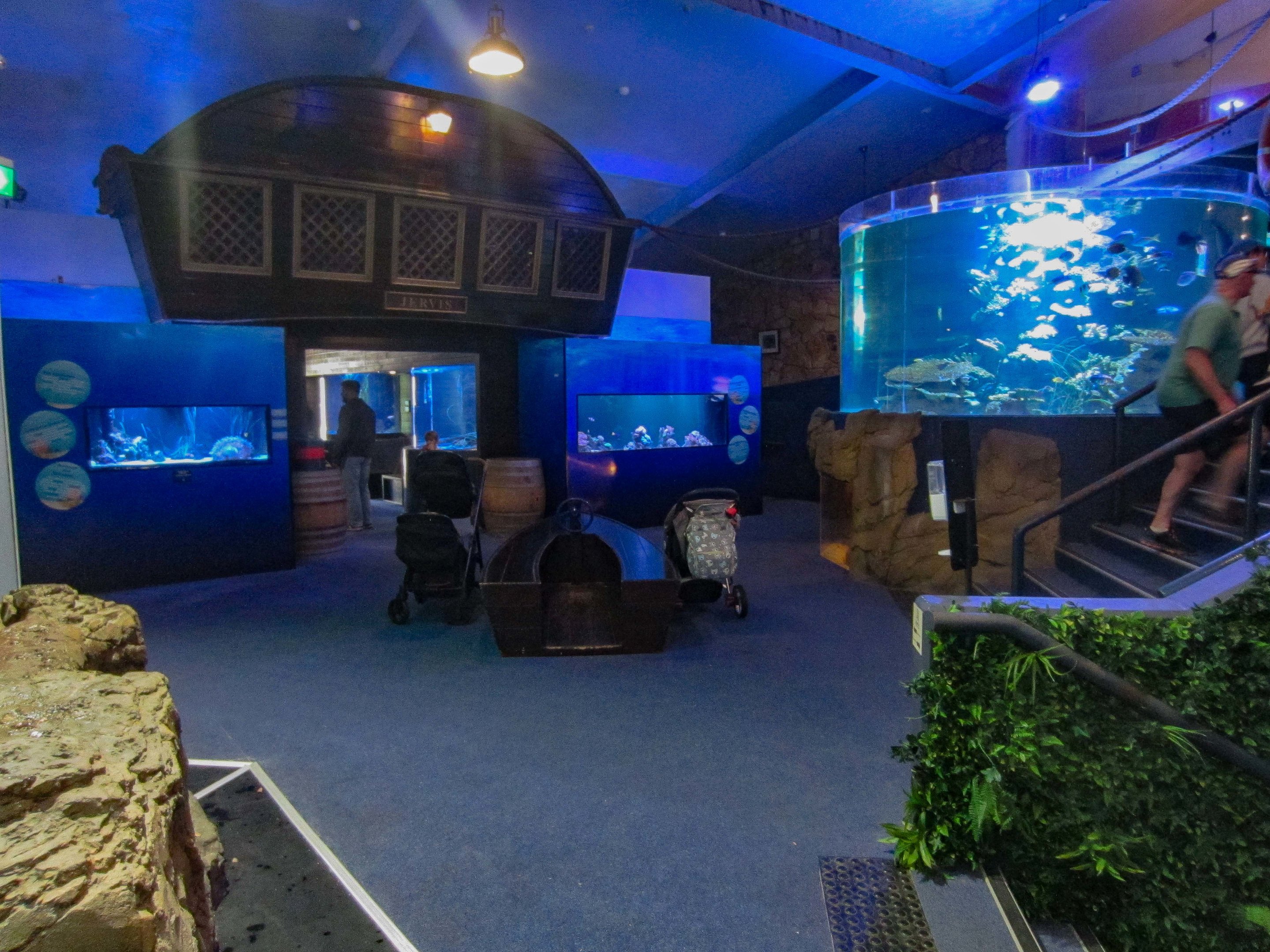 Aquarium interior