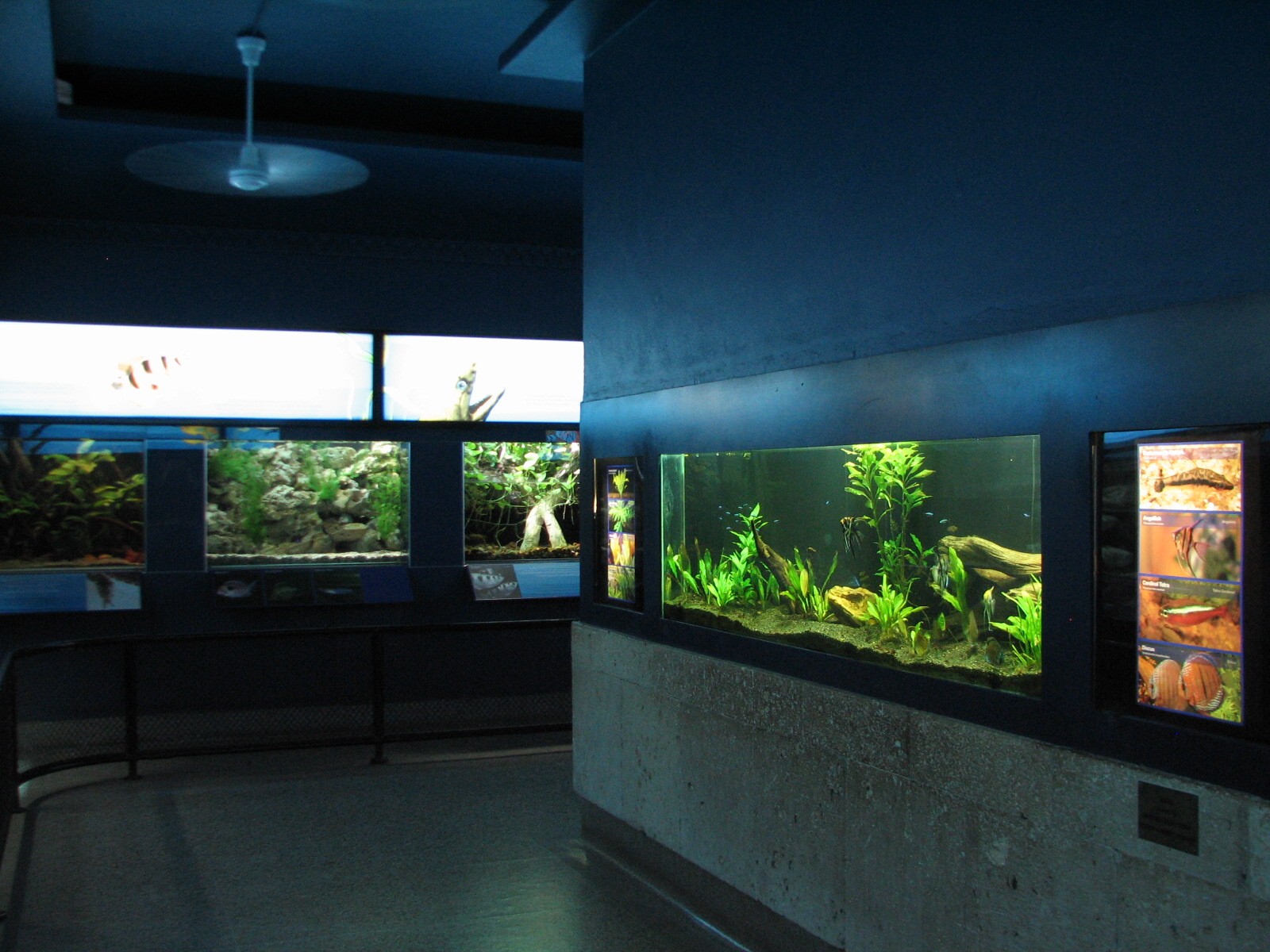 Aquarium - Interior