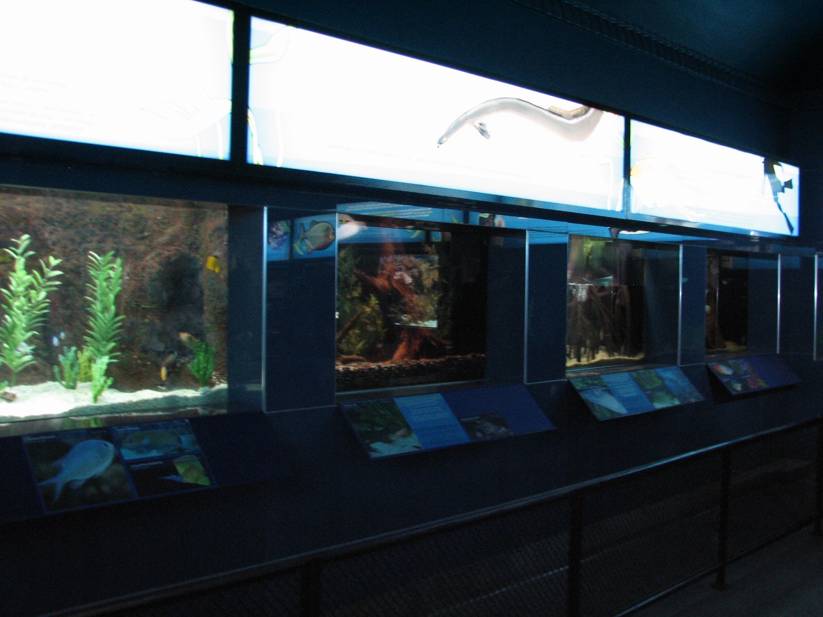 Aquarium - Interior