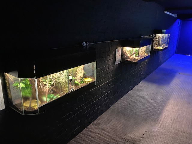 Aquarium - Invertebrate exhibits 051122