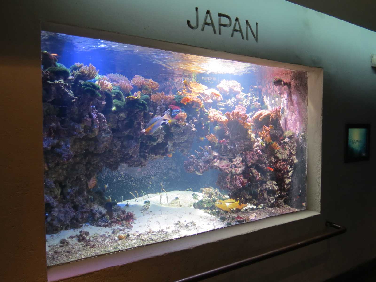 Aquarium - Japan Exhibit