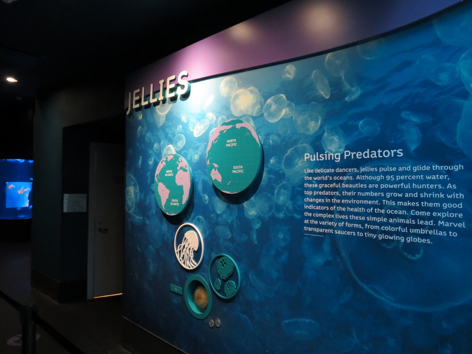 Aquarium - Jellies - Sign