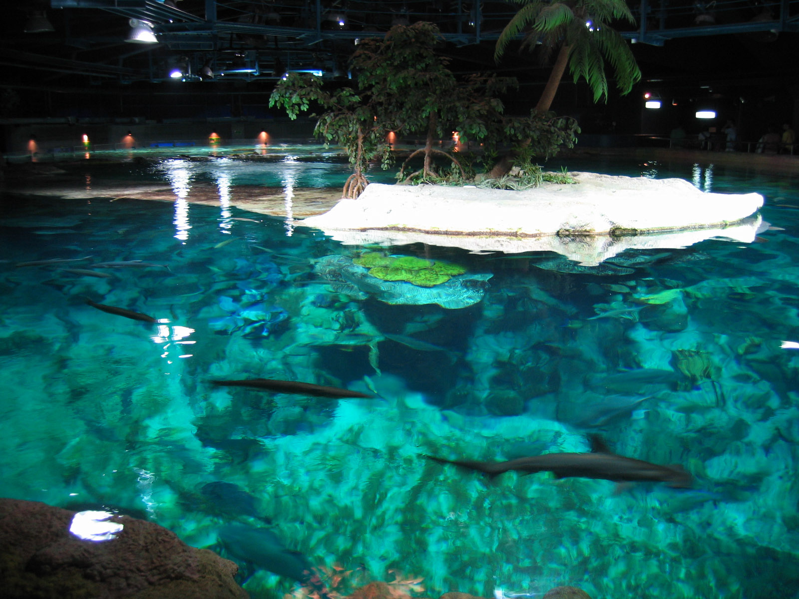 Aquarium - Jul 2003