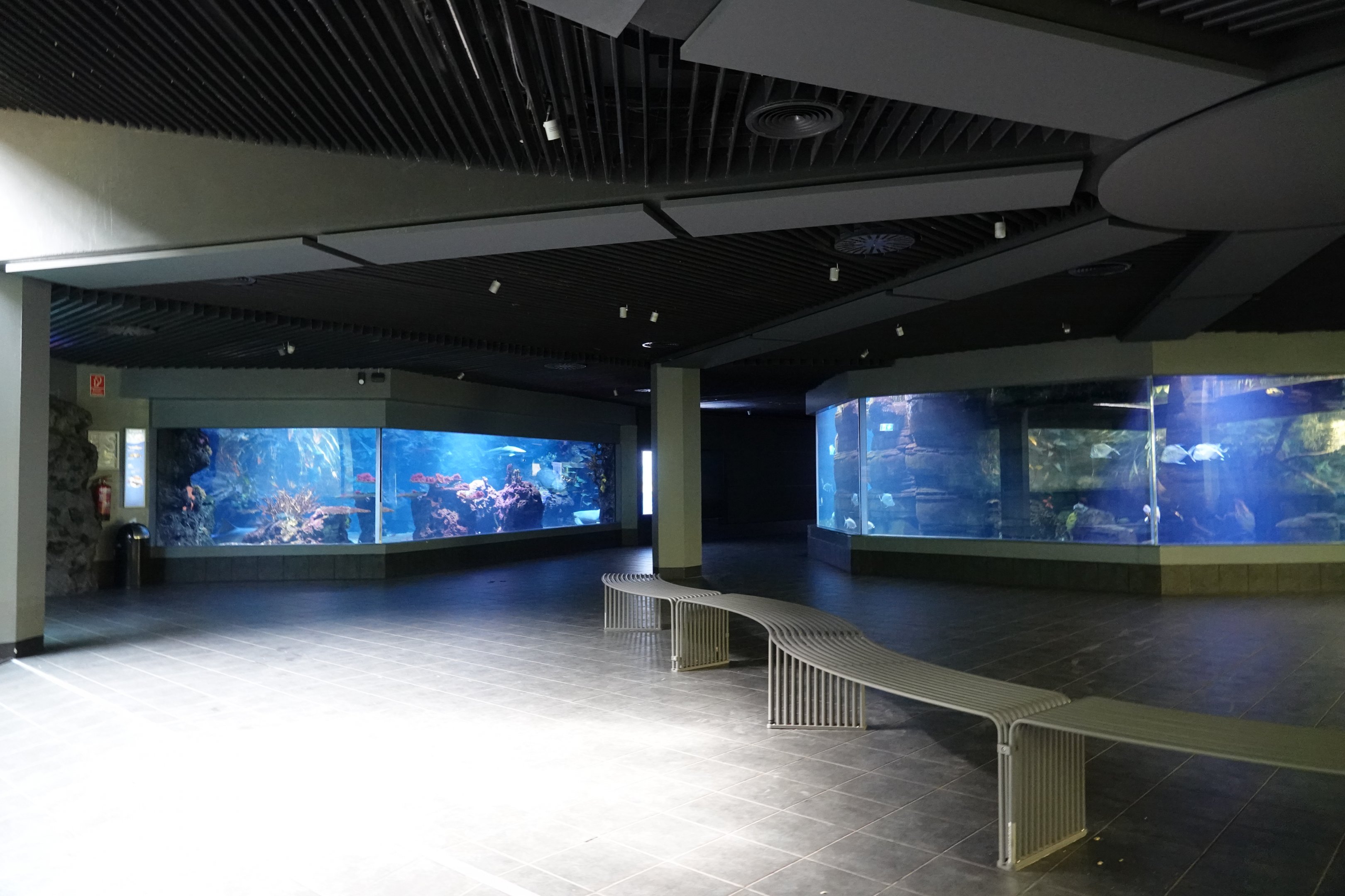 Aquarium level view