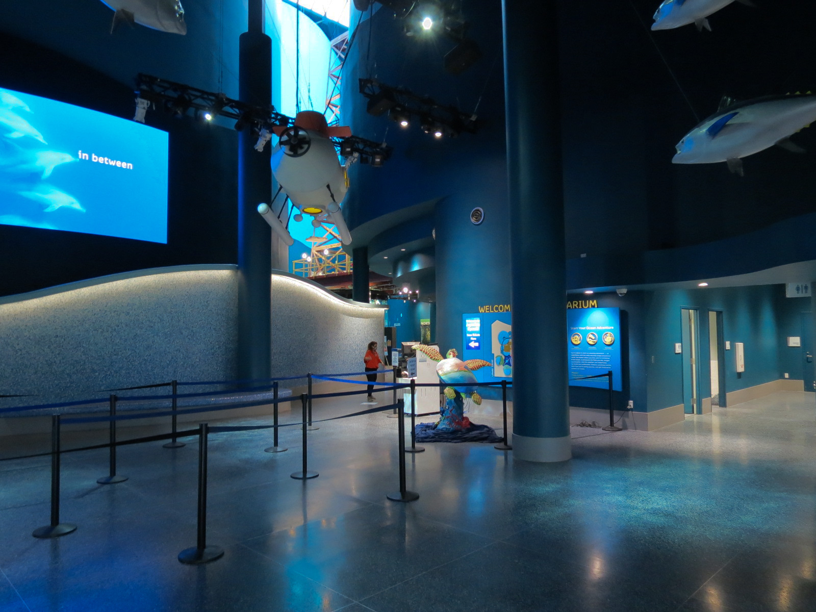 Aquarium - Lobby