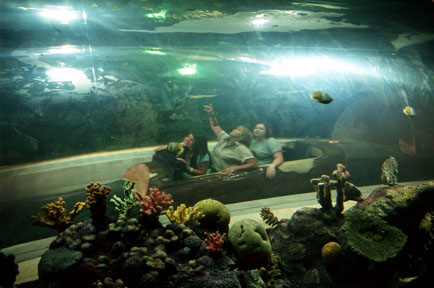 aquarium log ride, May 25, 2009