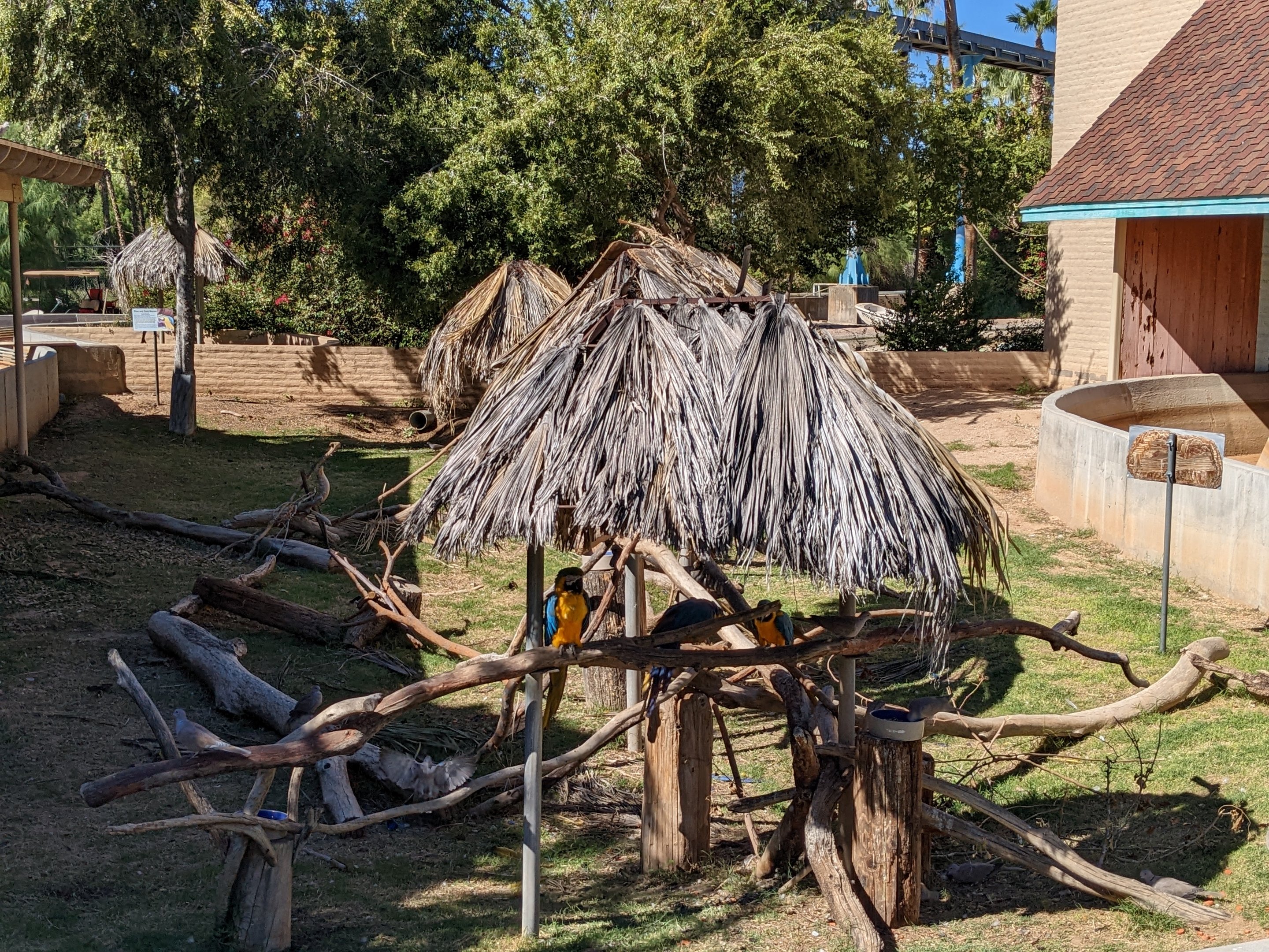 Aquarium - macaw hut