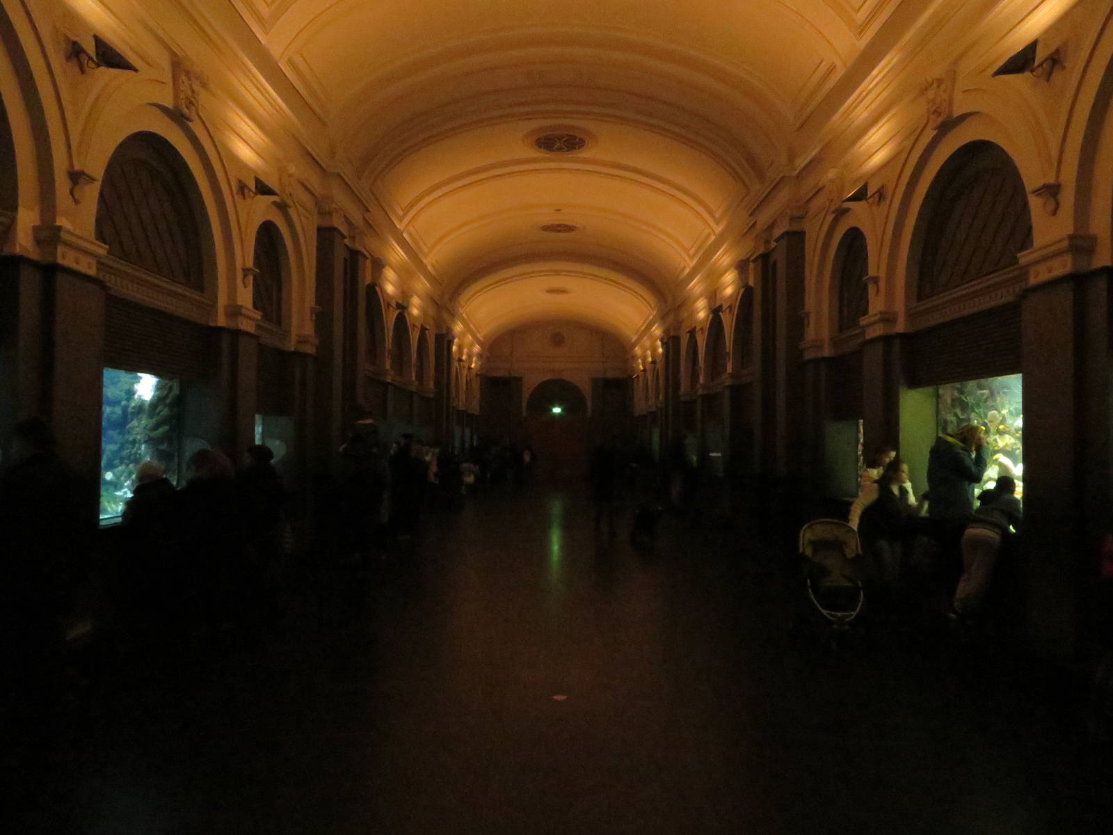 Aquarium - main hall