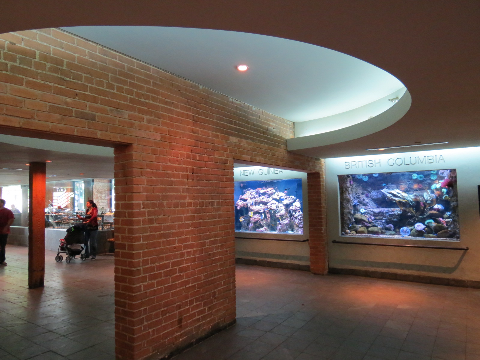 Aquarium - Main Room