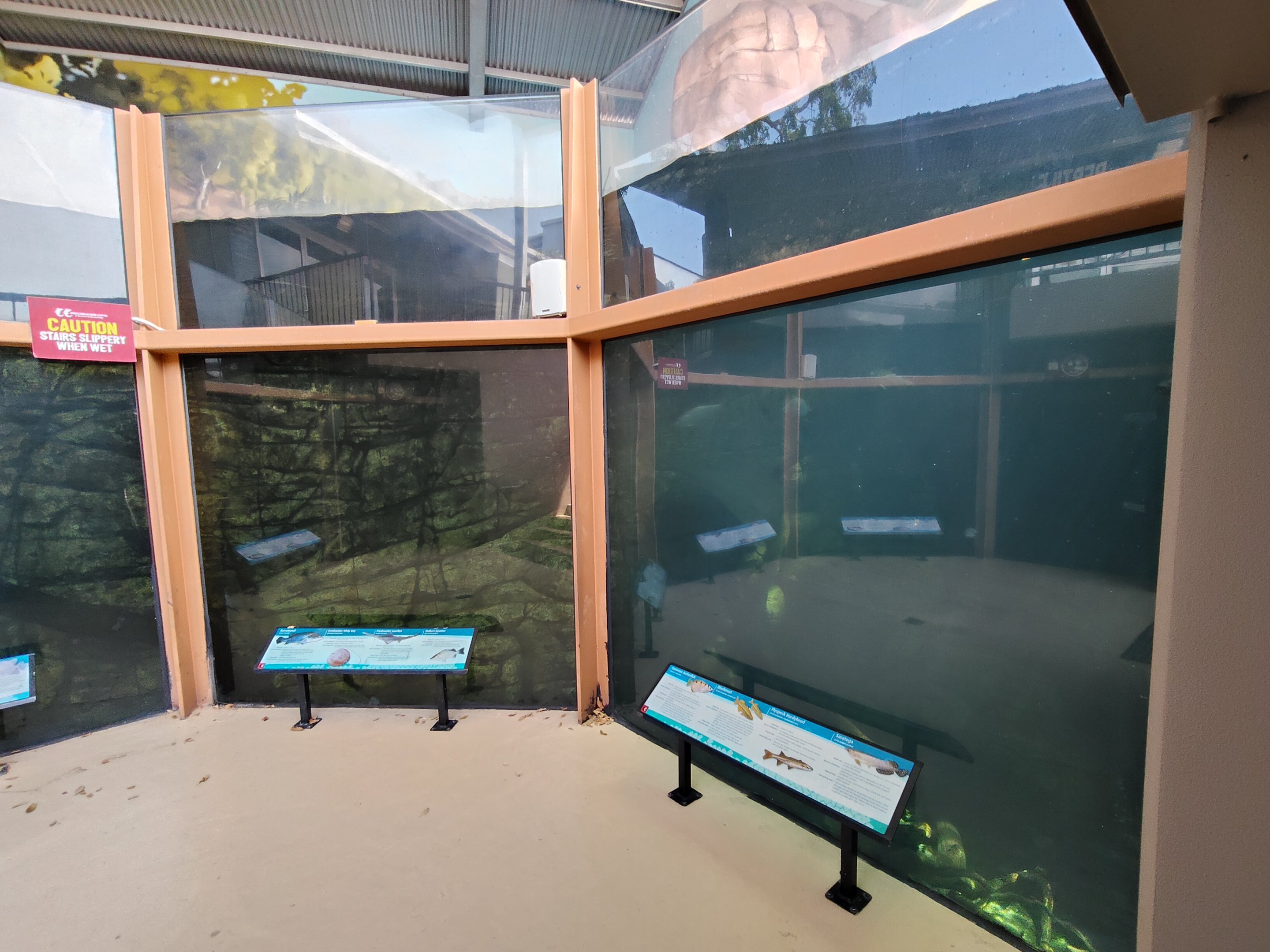 Aquarium - main viewing