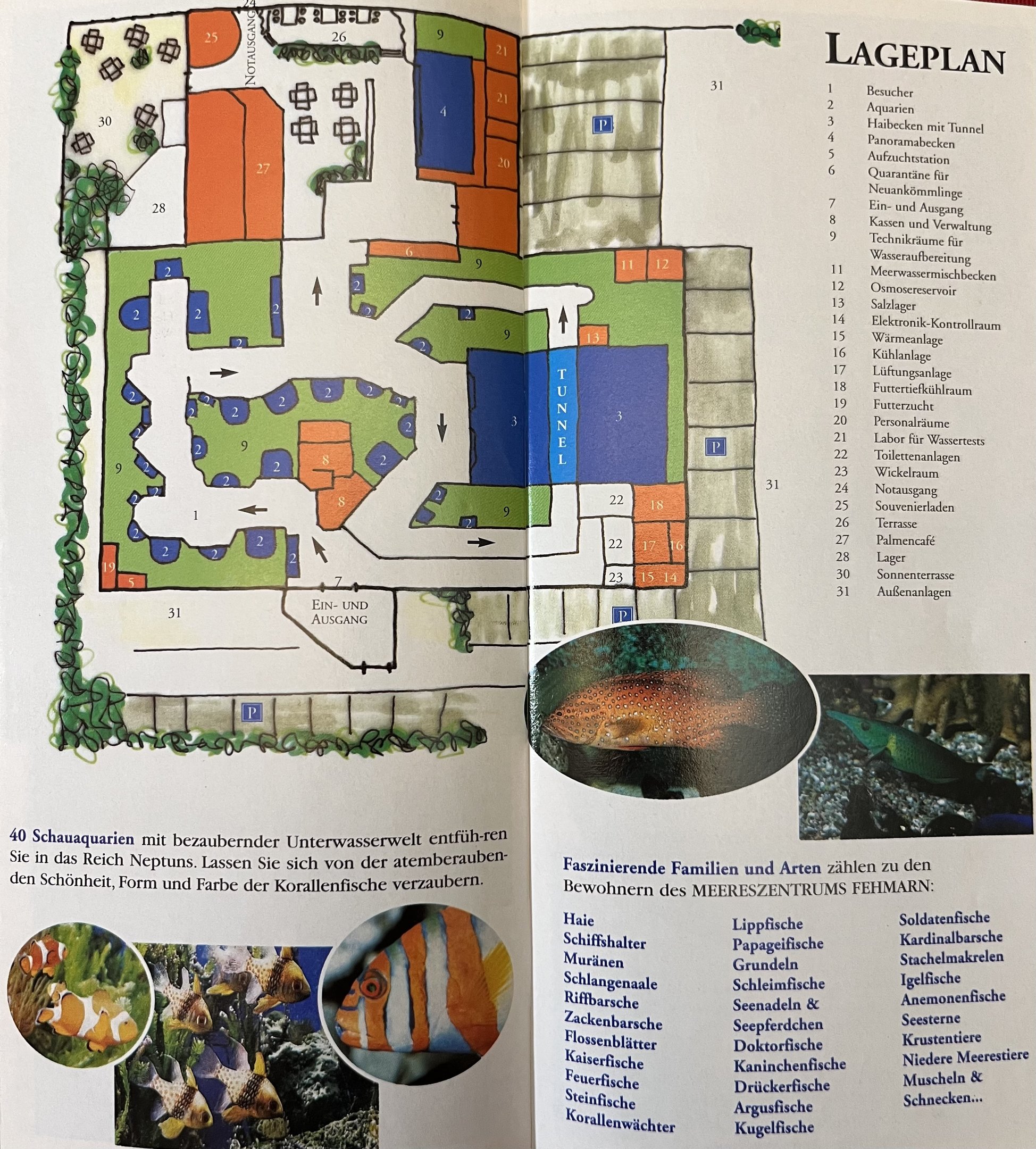 Aquarium Map - 2002