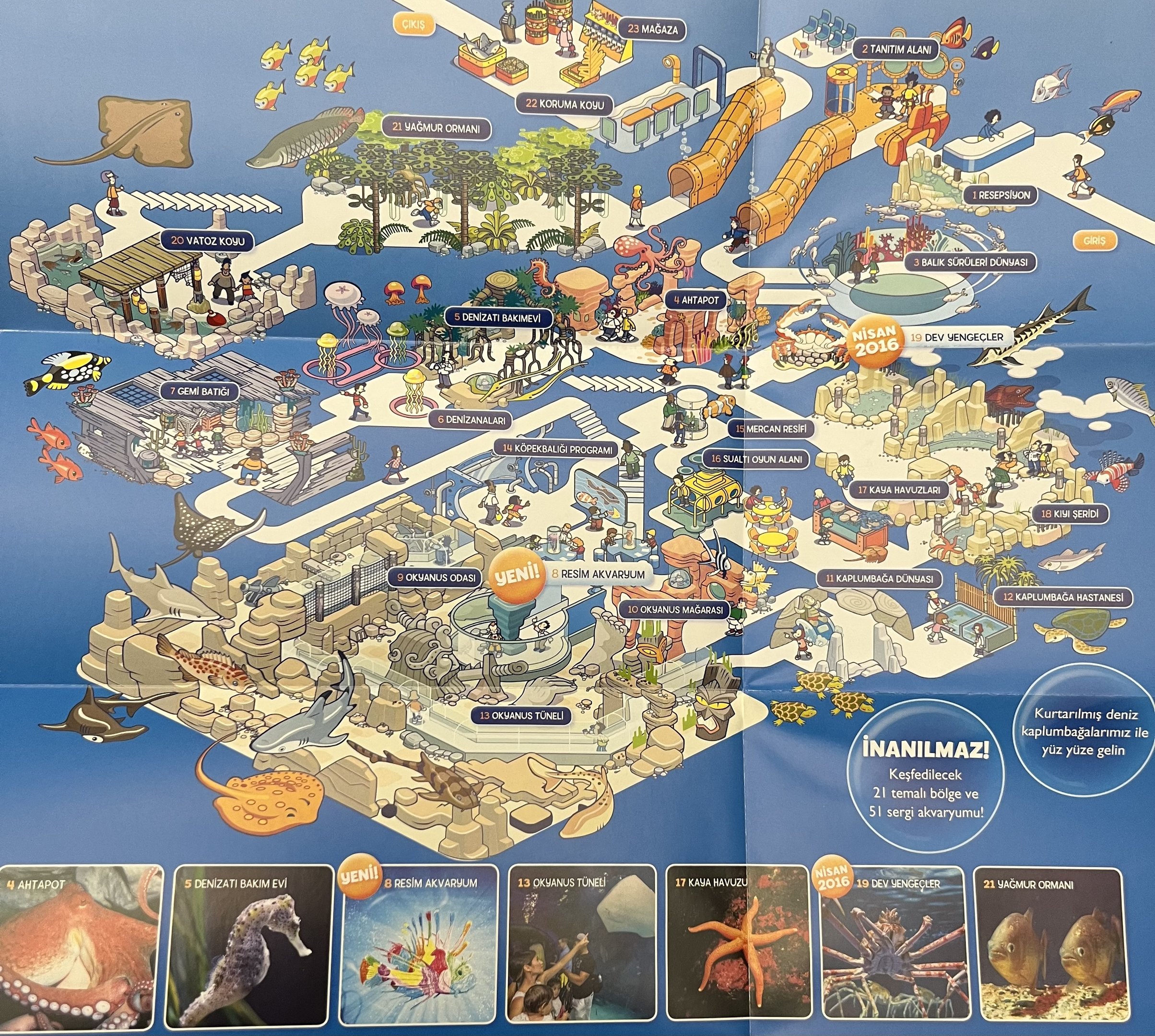 Aquarium Map - 2016