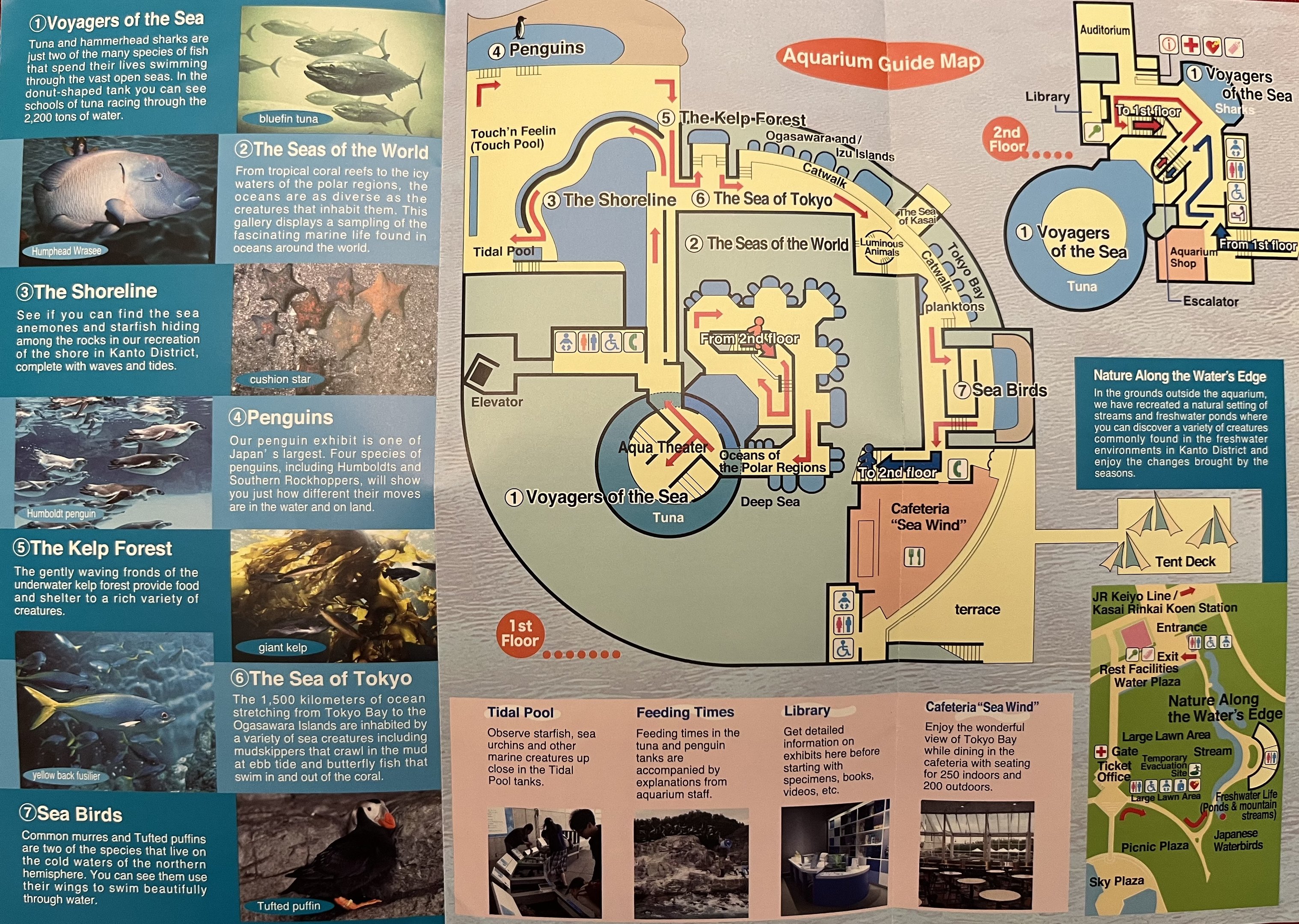 Aquarium Map - 2017