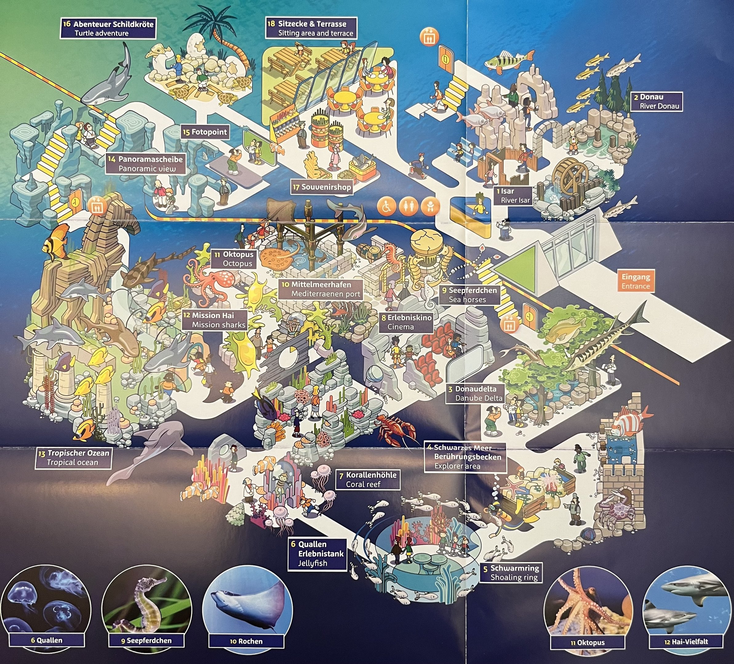 Aquarium Map - 2019