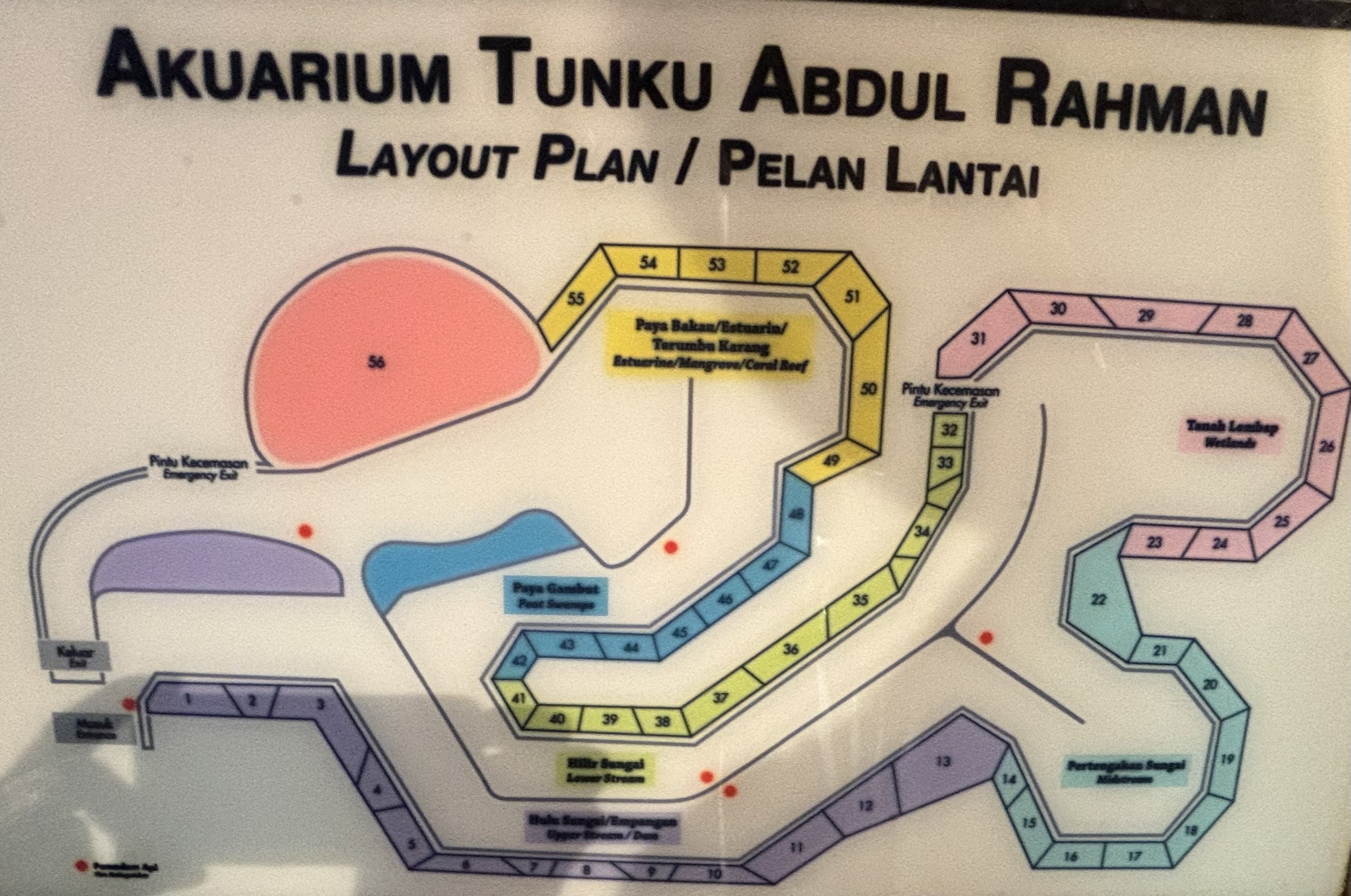 Aquarium Map - 56 tanks