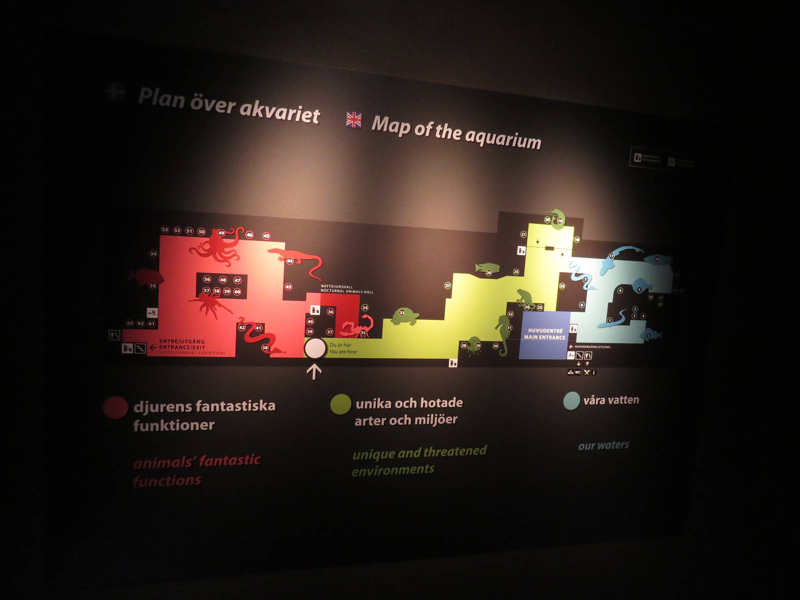 Aquarium map, June 2015