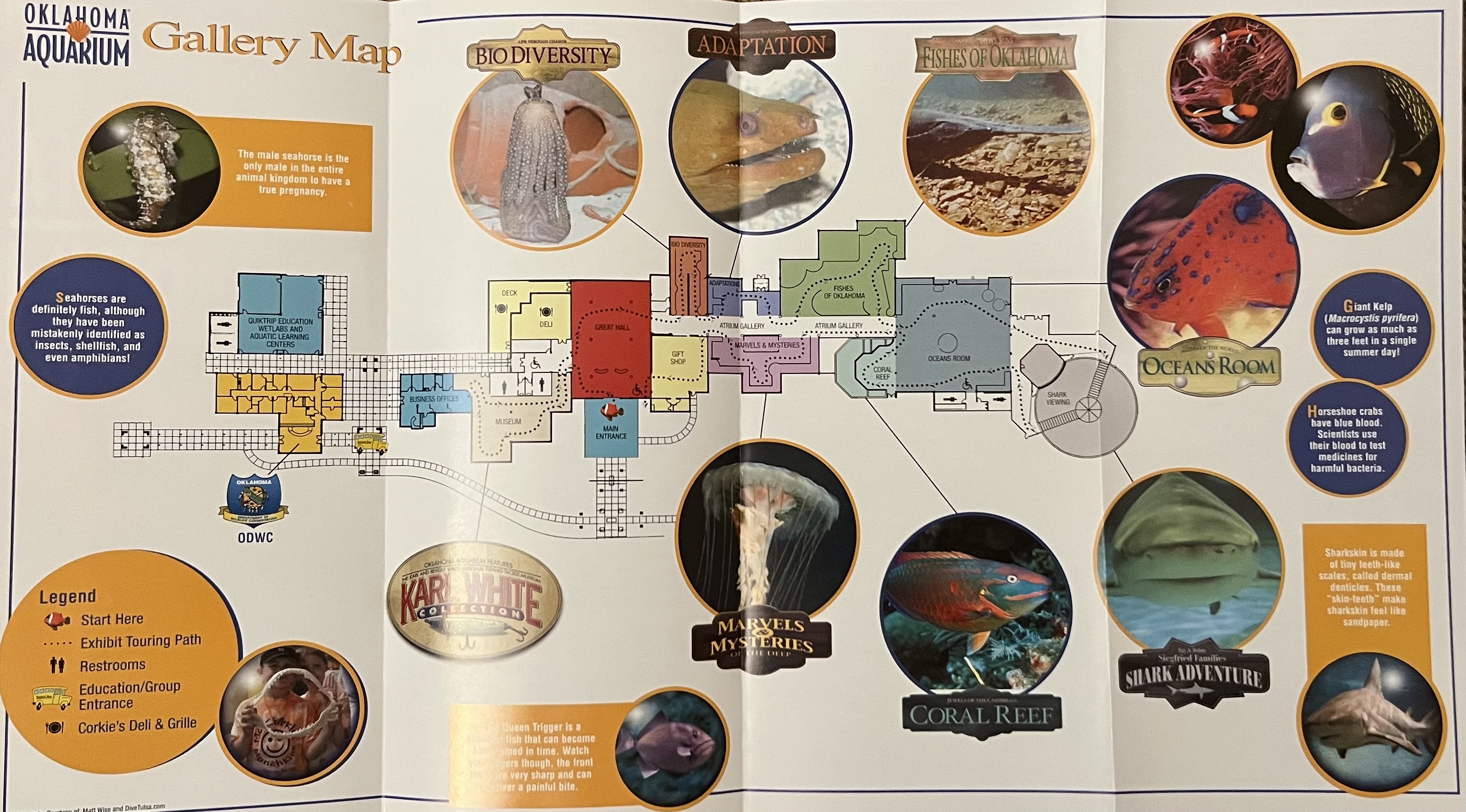 Aquarium Map - undated