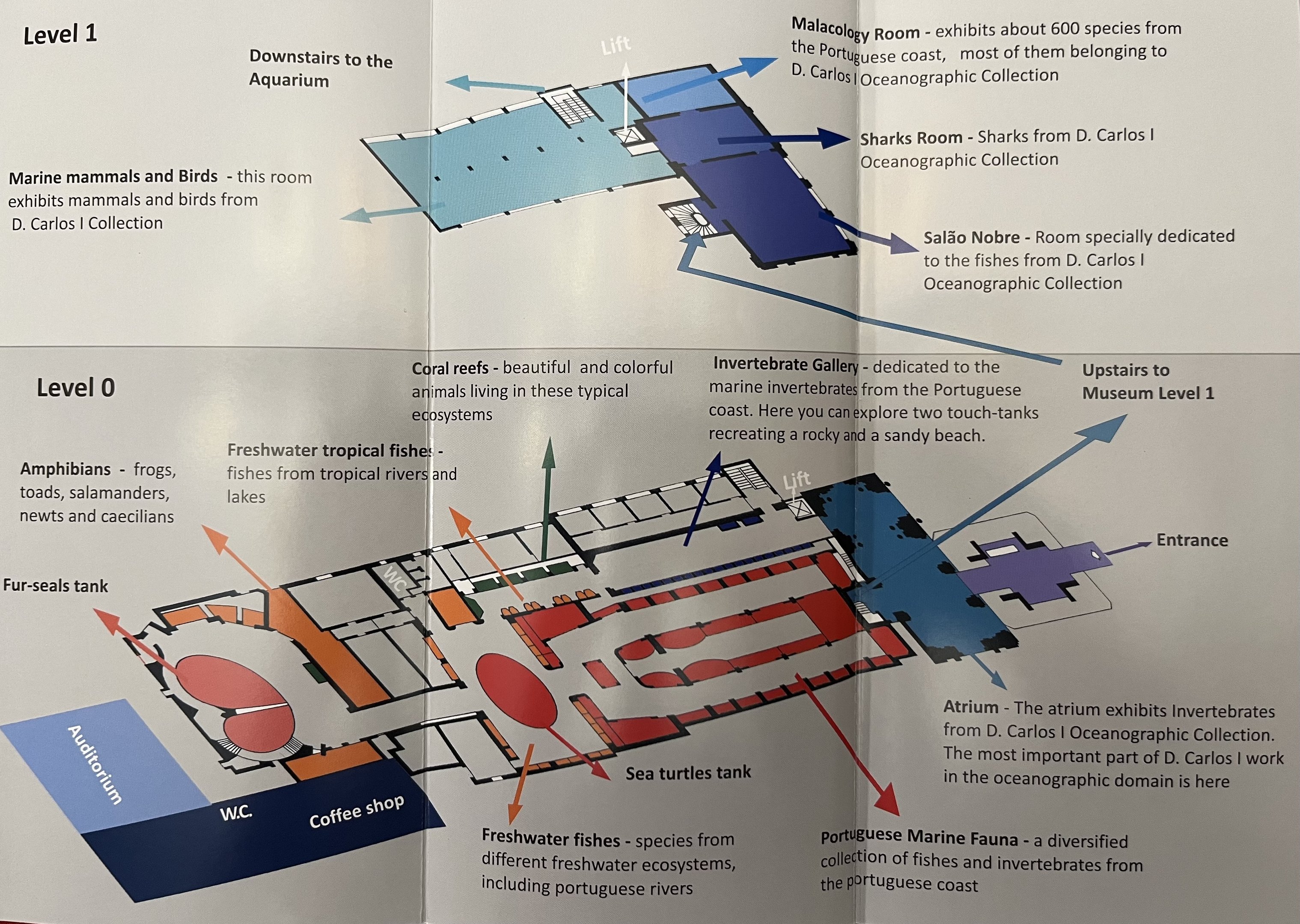 Aquarium Map - undated
