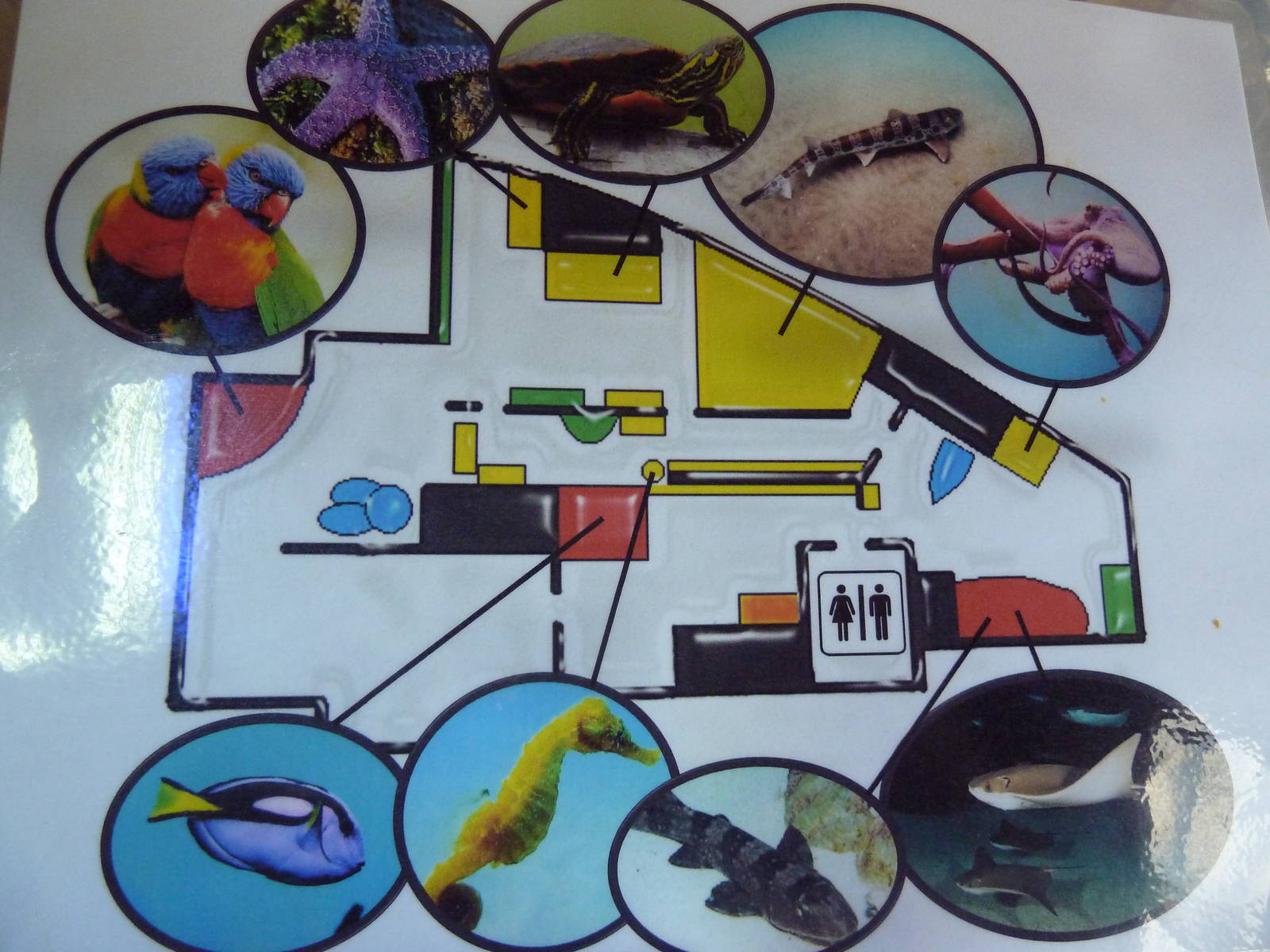 Aquarium Map