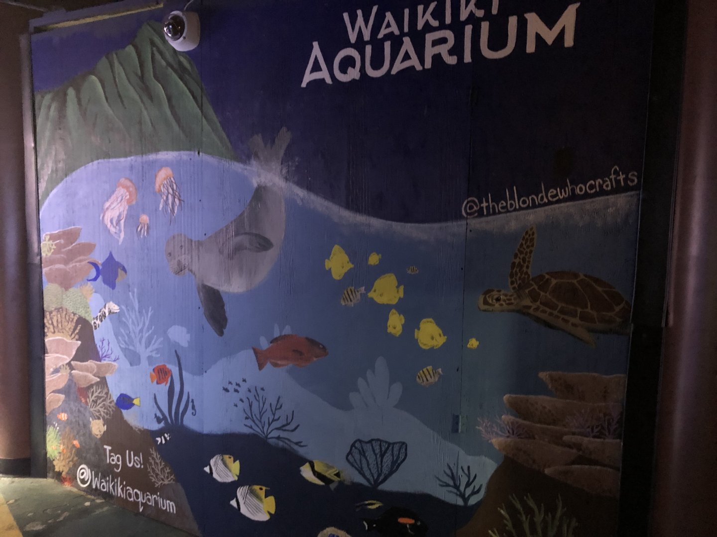 Aquarium mural