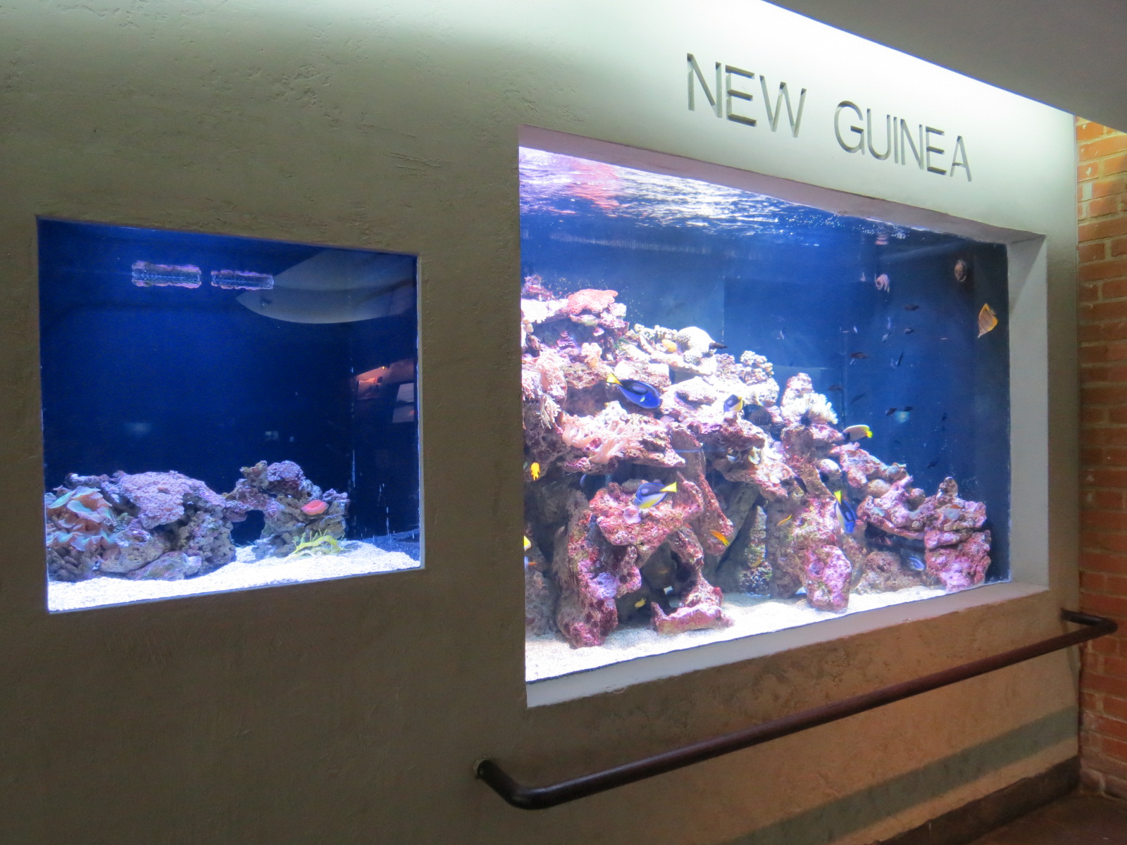 Aquarium - New Guinea Exhibits