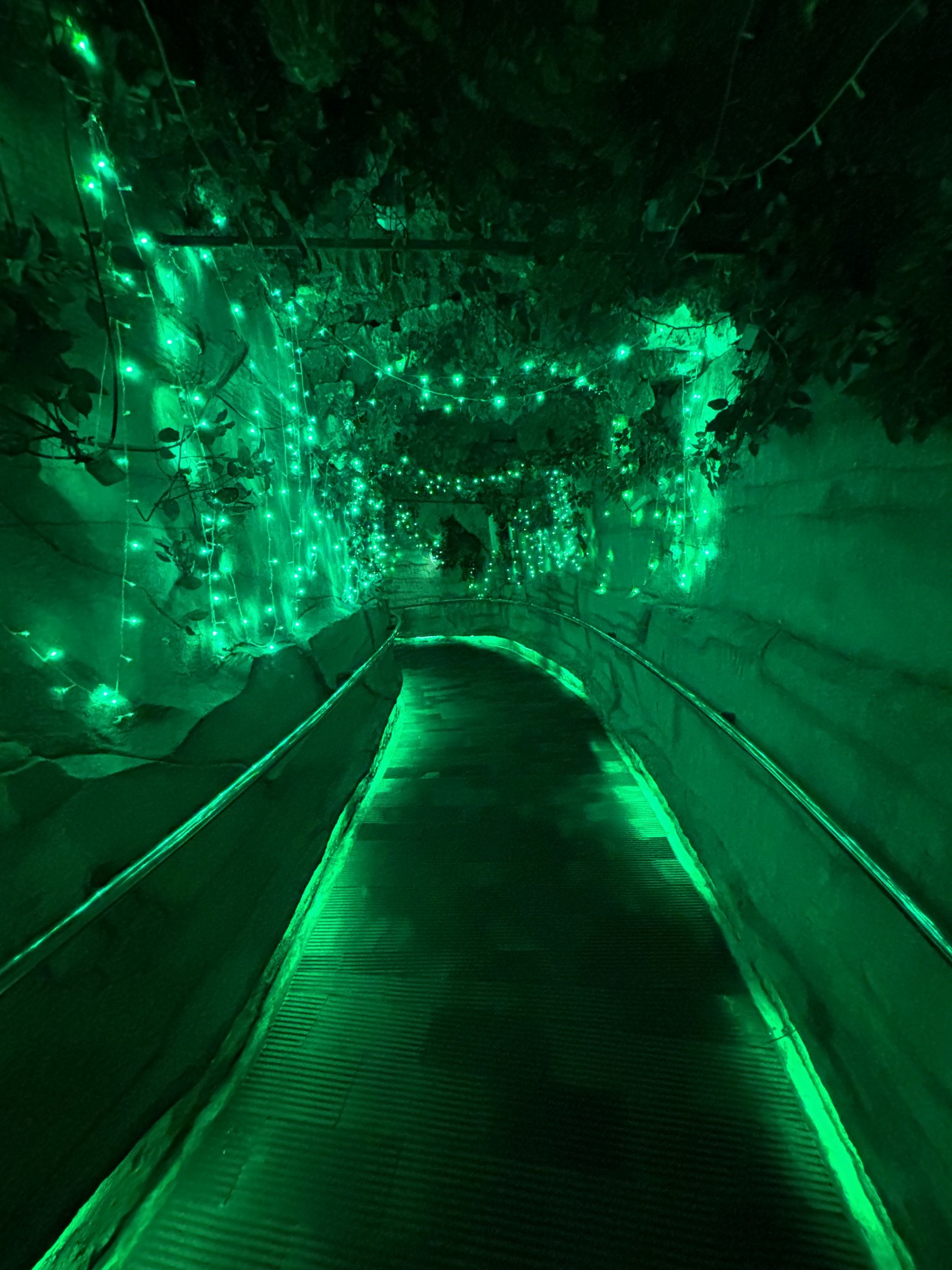 Aquarium/Nocturnal House Entrance