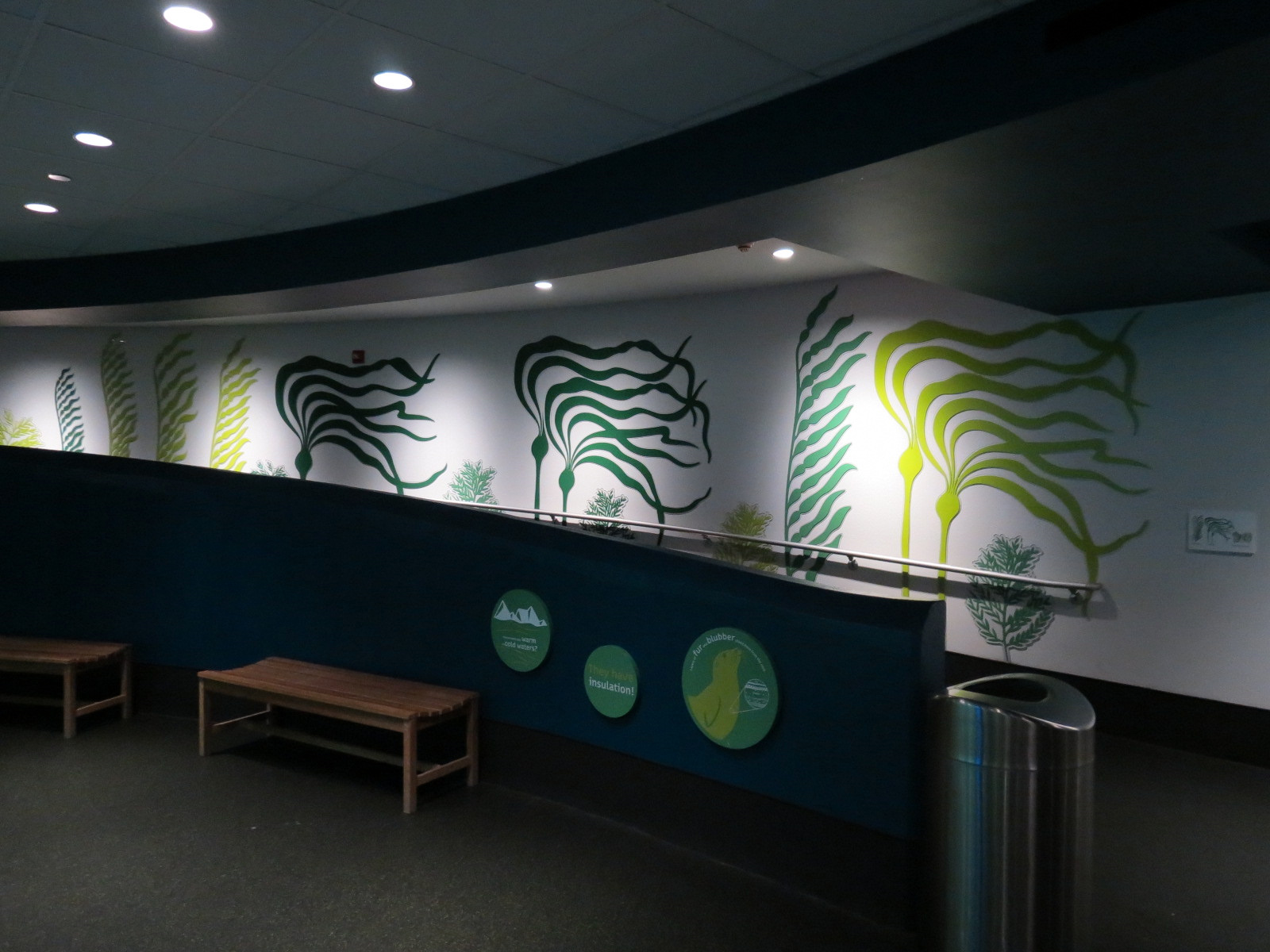 Aquarium - North Pacific - Lower Level