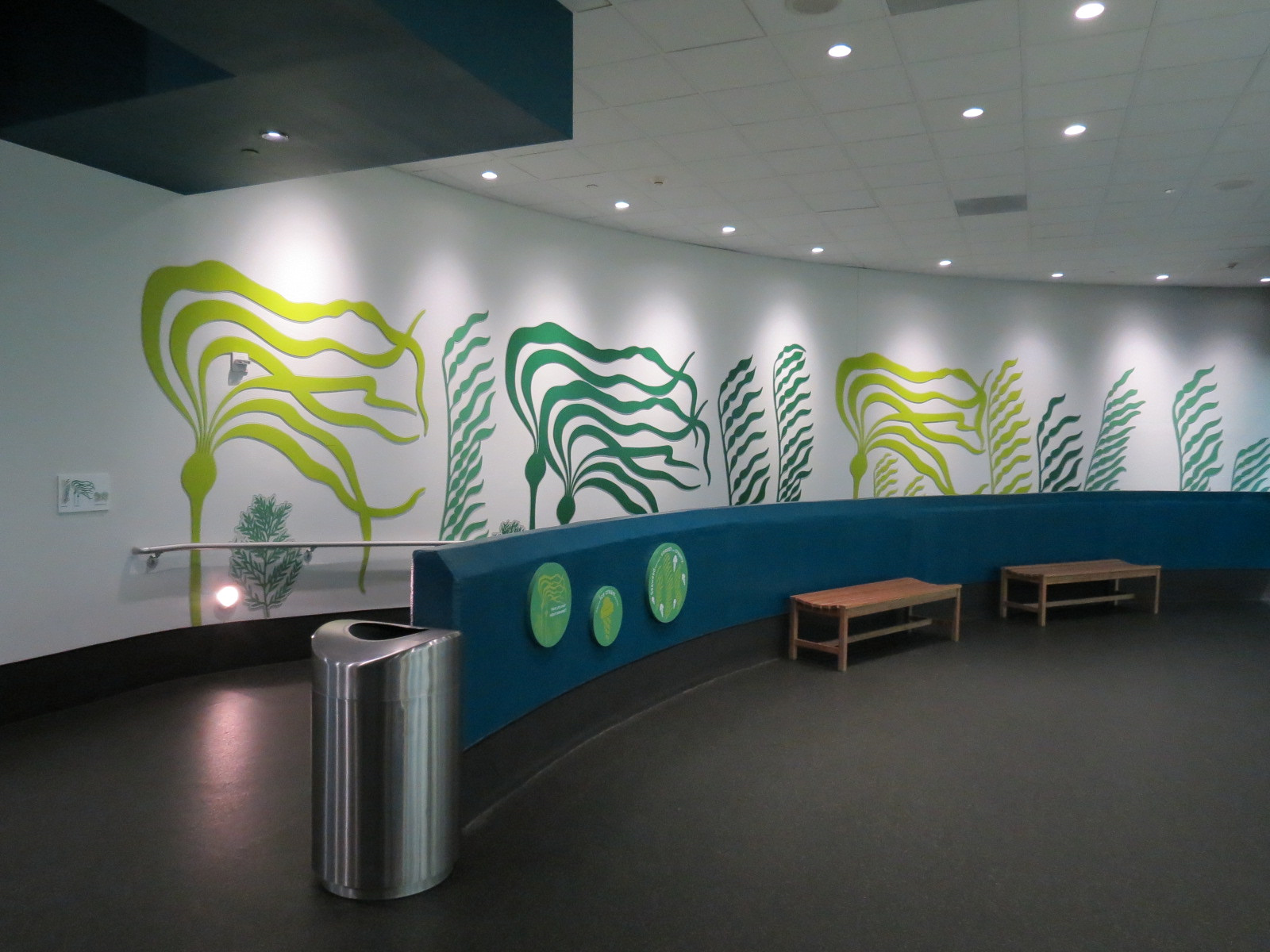 Aquarium - North Pacific - Ramp to Lower Level