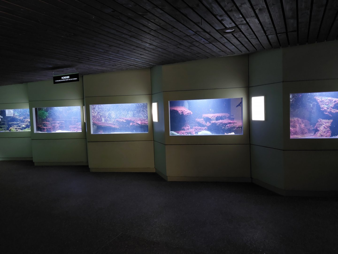 Aquarium - North Sea section