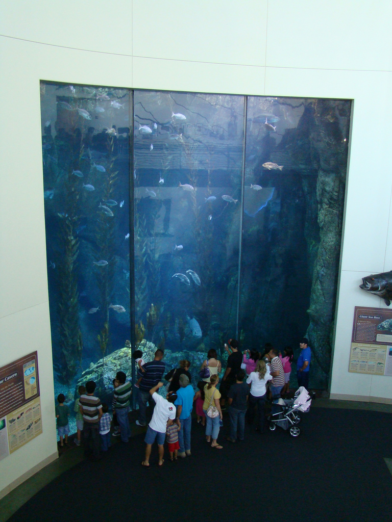 Aquarium of the Pacific - Blue Cavern Tank