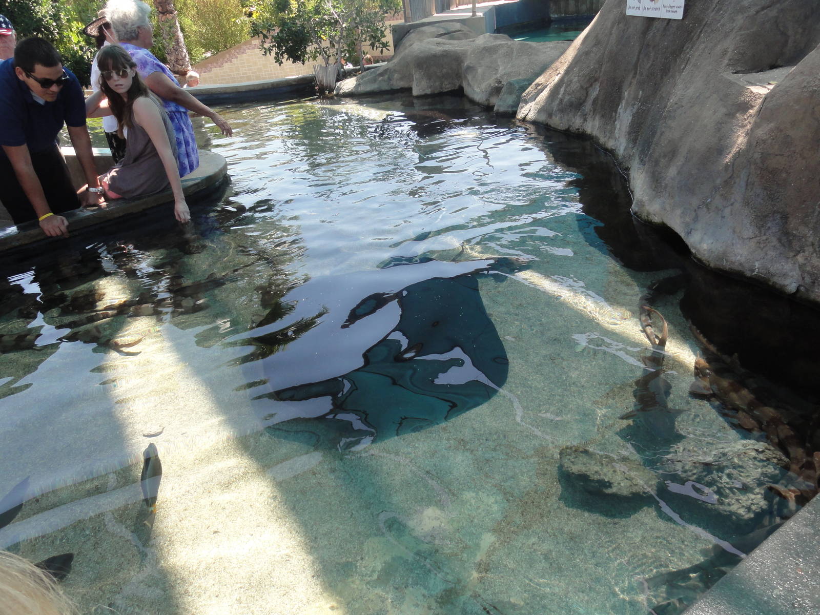 Aquarium of the Pacific; summer 2011