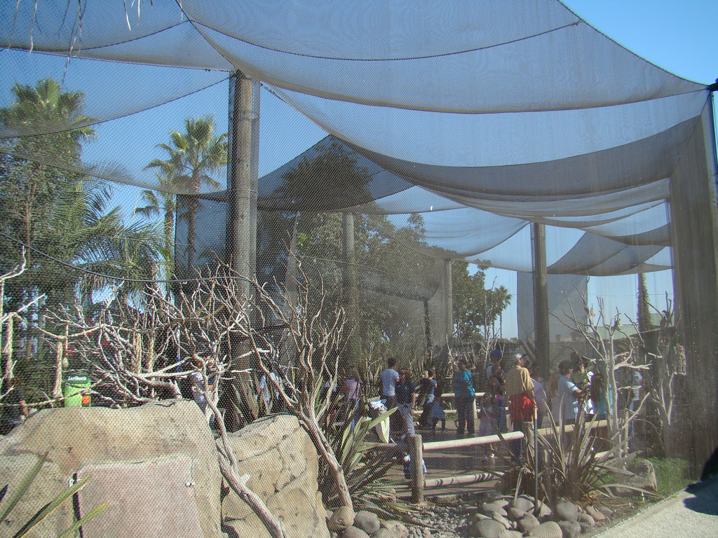 Aquarium of the Pacific