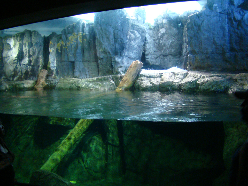 Aquarium of the Pacific