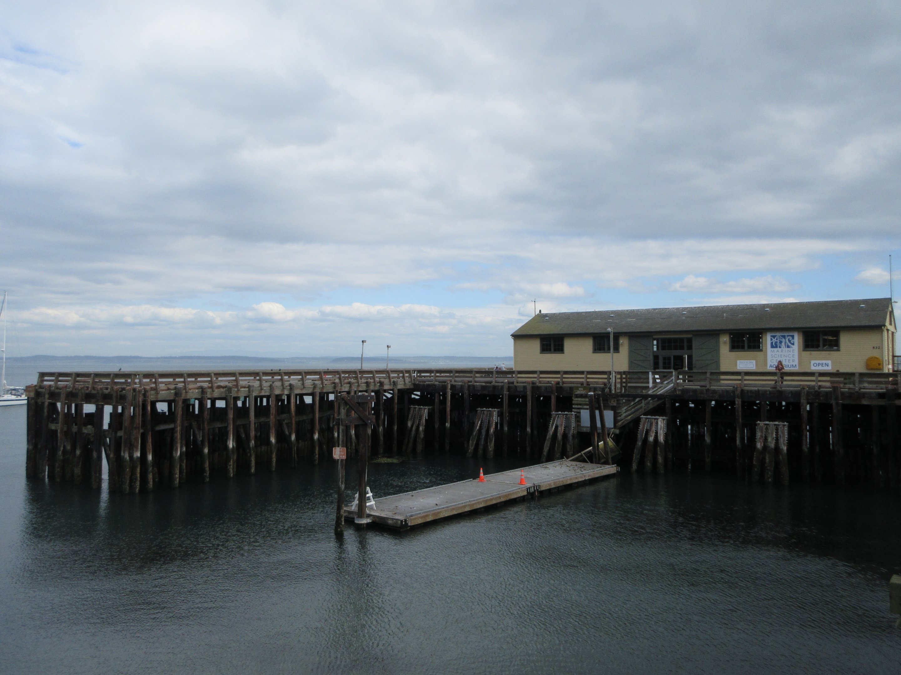 Aquarium (only 11 tanks)