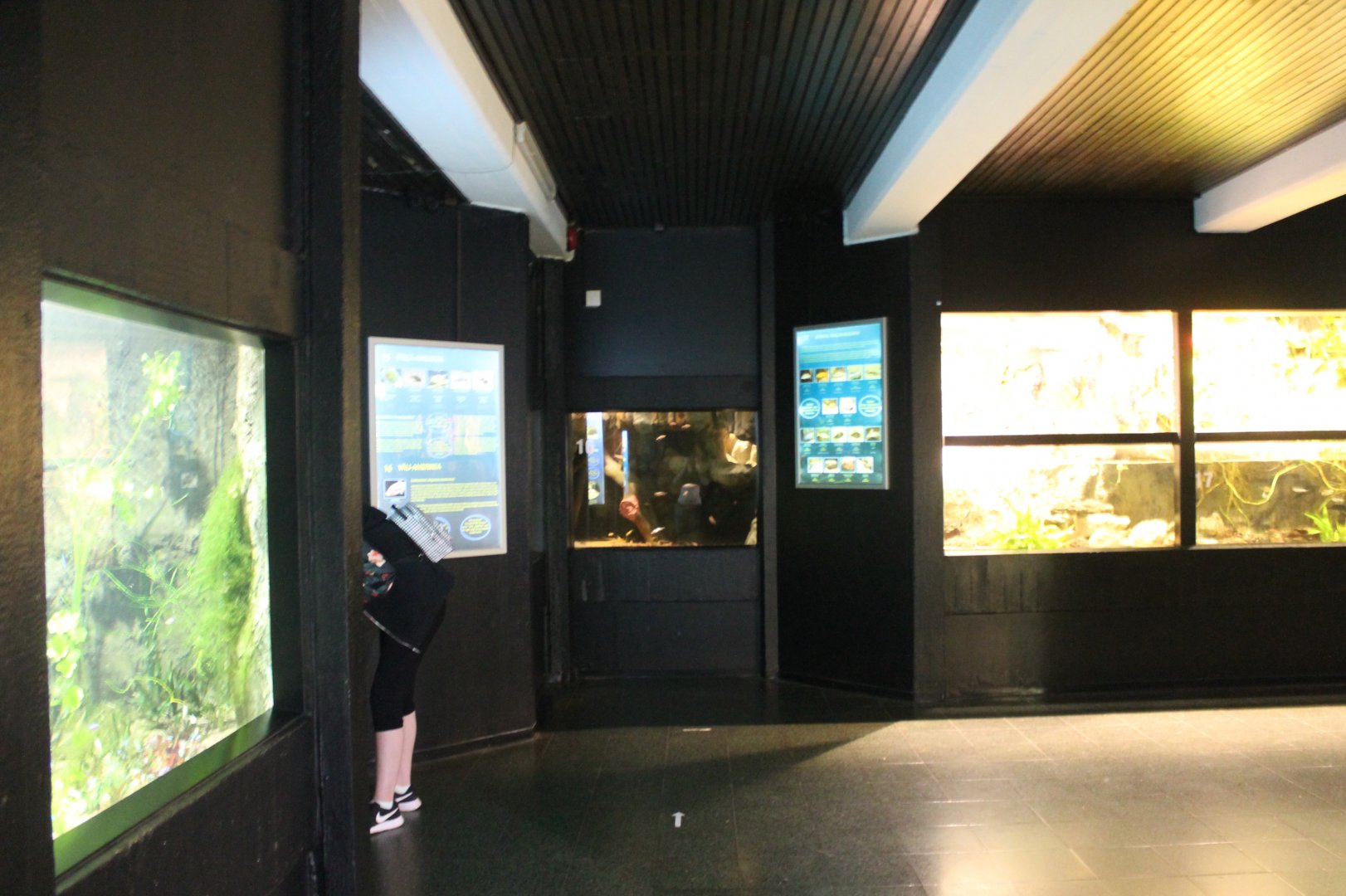 Aquarium Overview - Downstairs