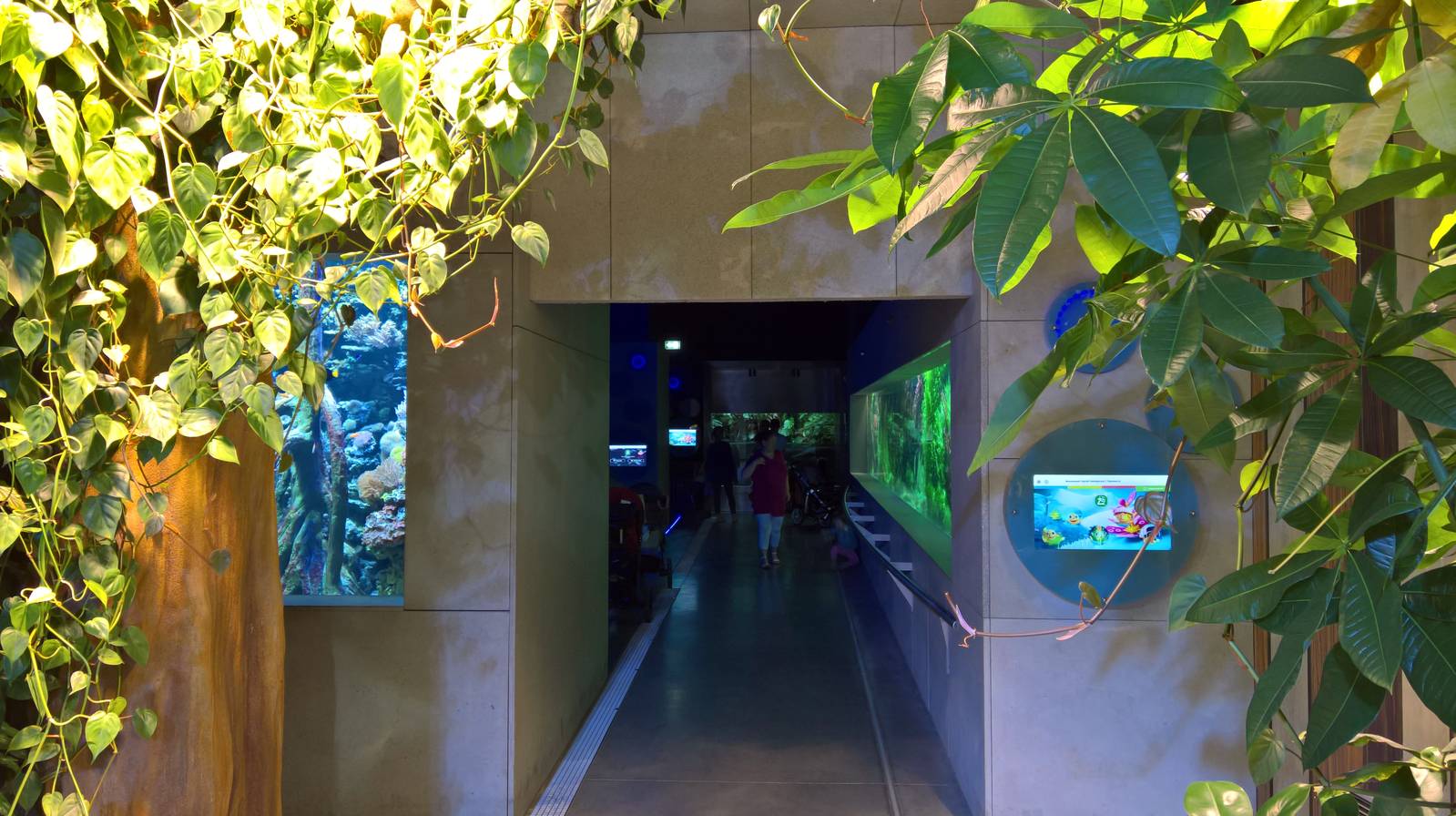 Aquarium overview